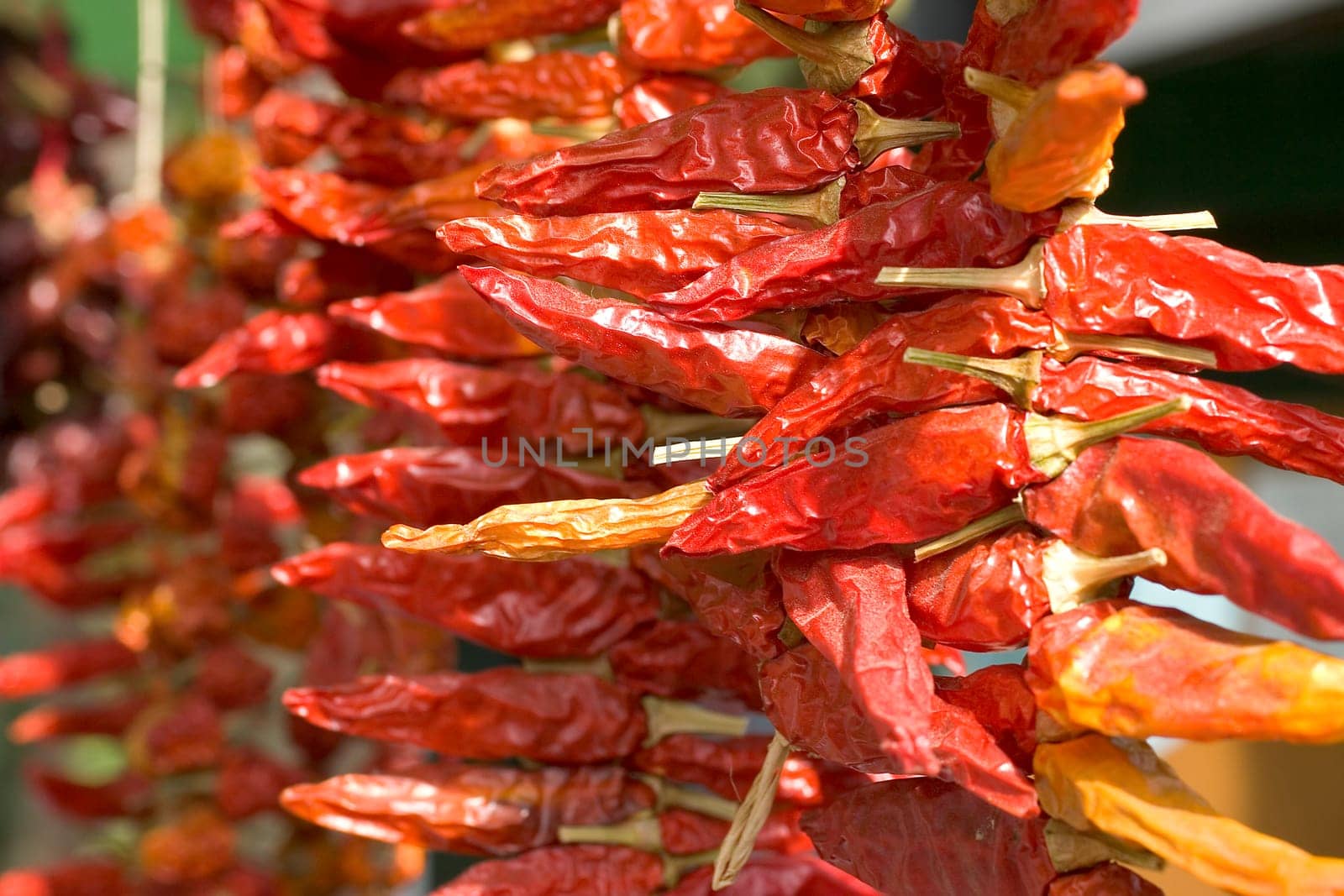Piles of dried red chilies