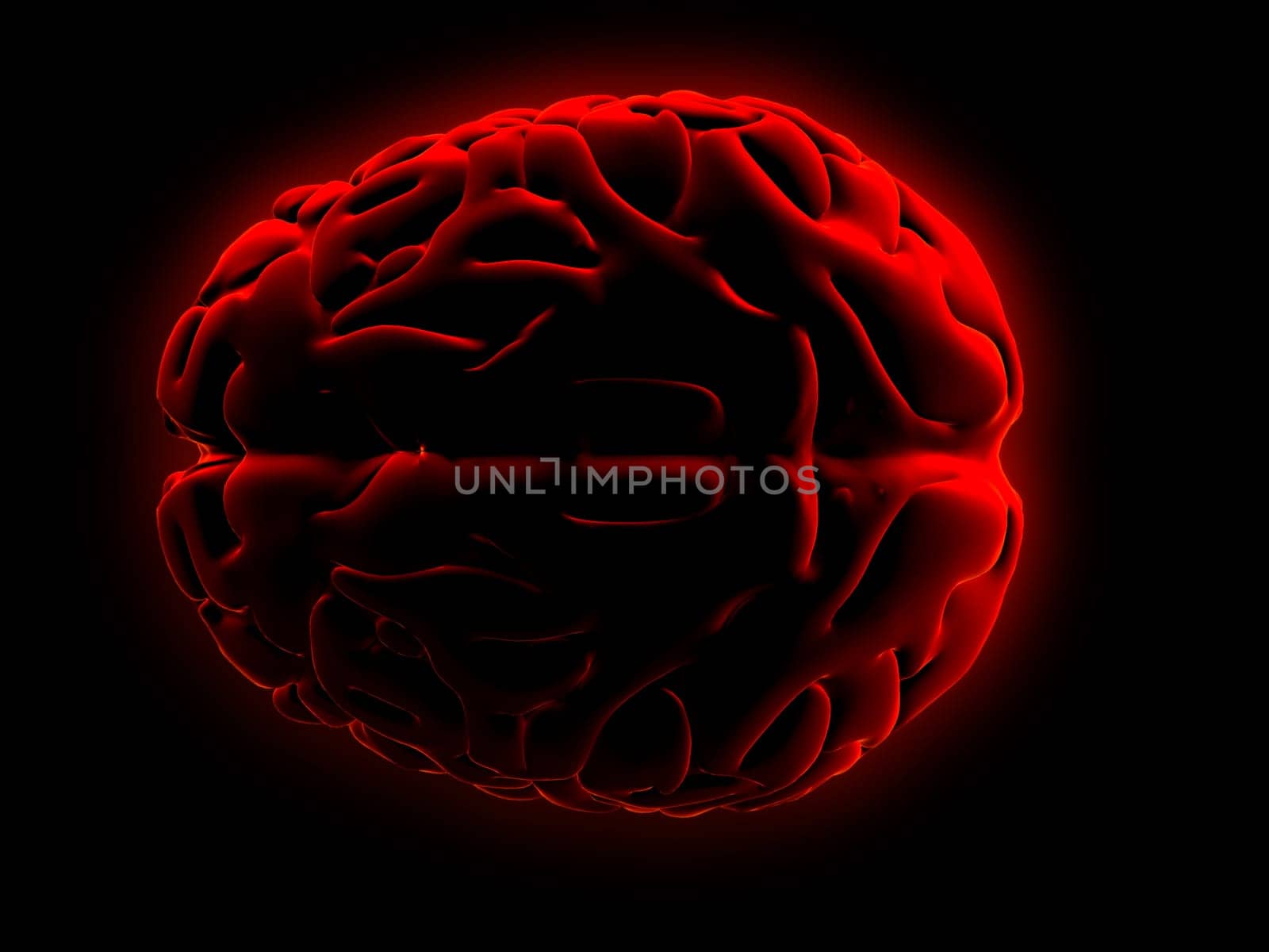 3d rendered anatomy illusration of a red human brain