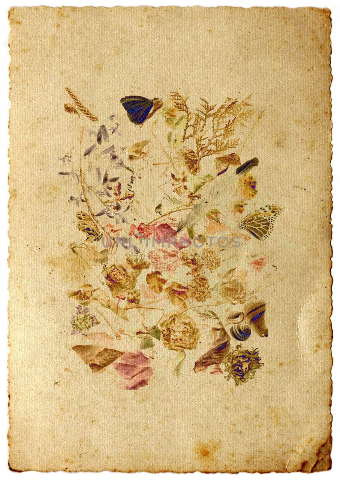 Abstract background with dried flower over grunge texture