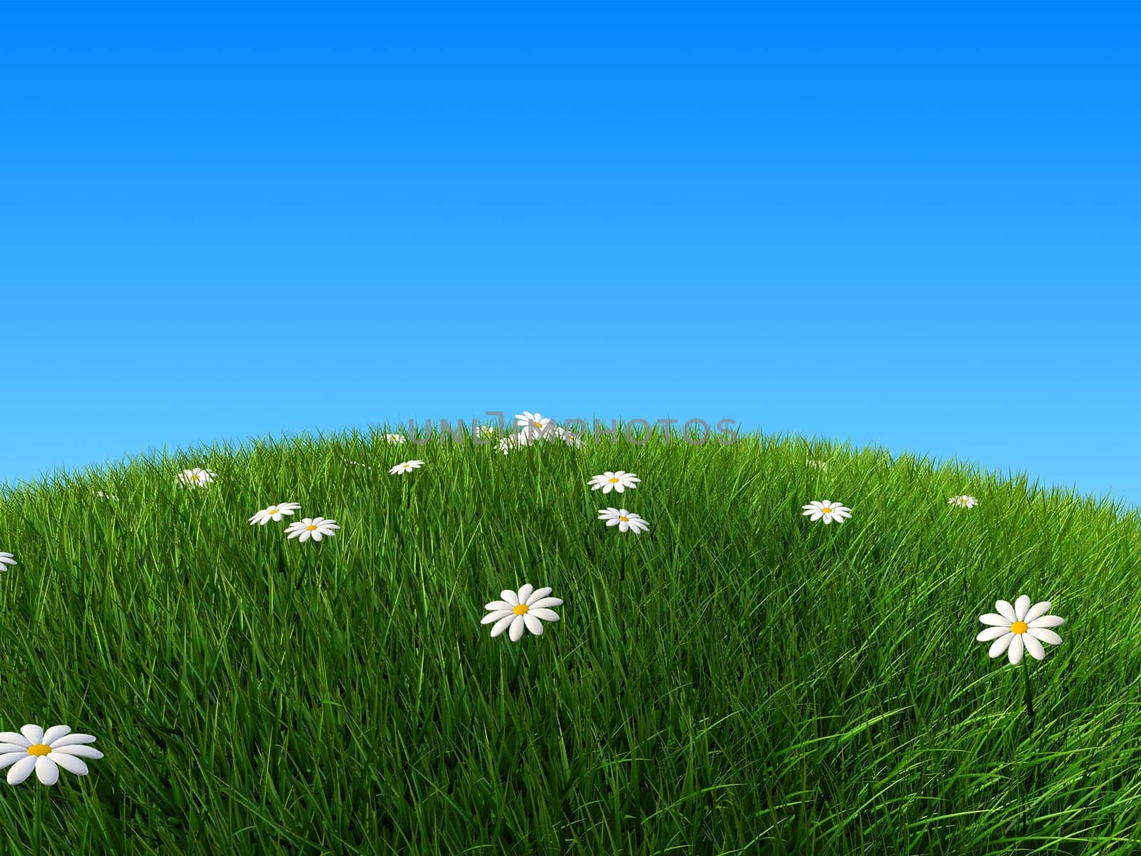 3d rendered illustration of a green hill with white flowers