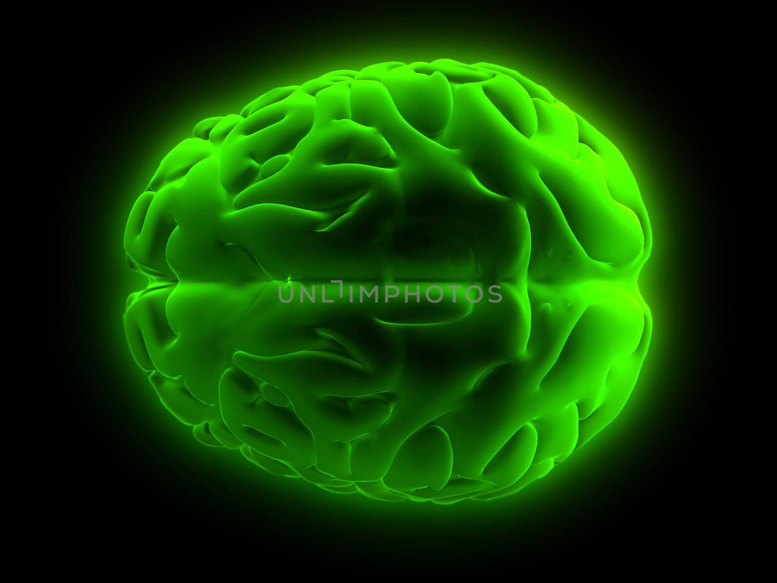 3d rendered anatomy illustration of human brain from the top