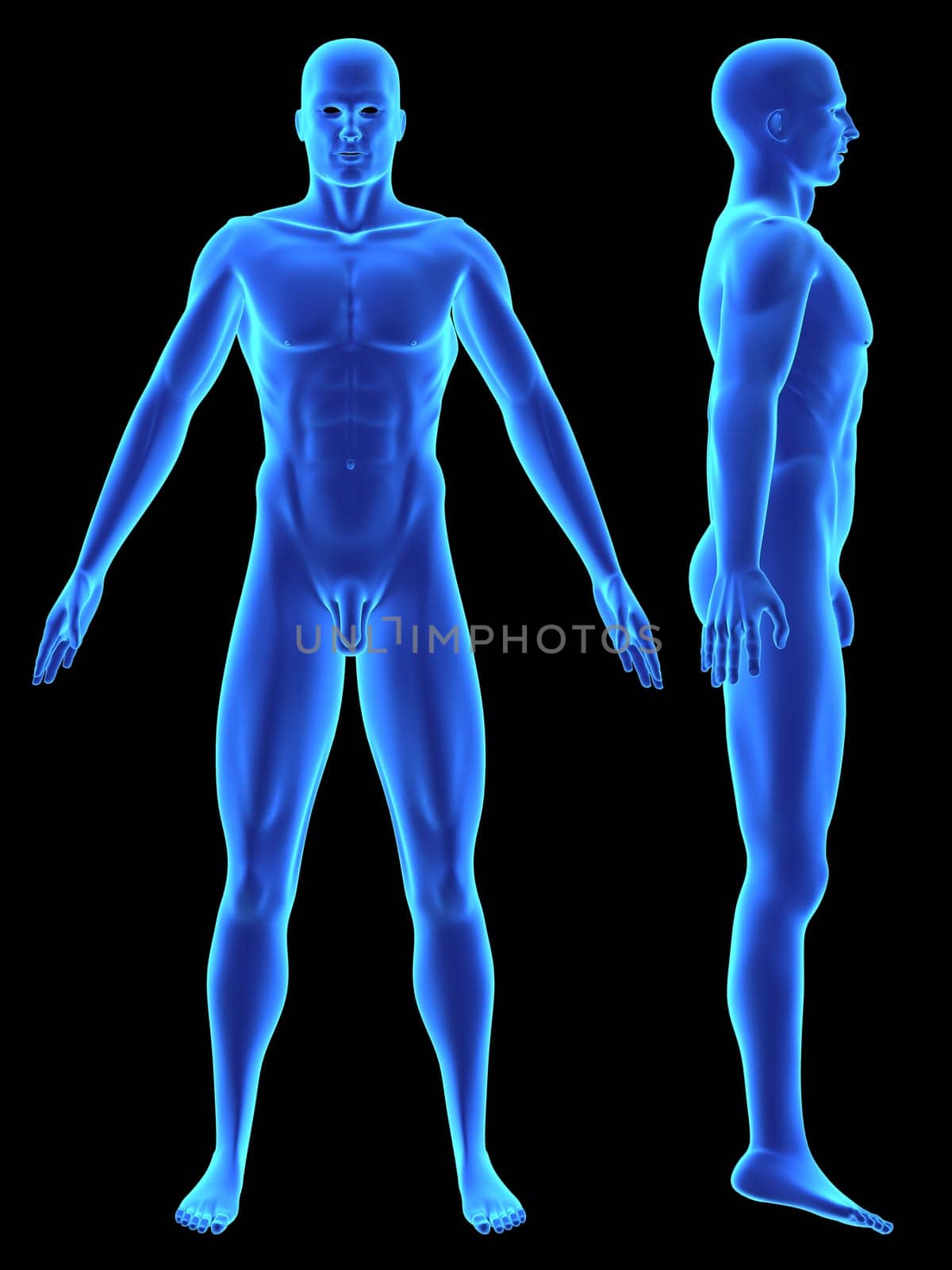 3d rendered illustration of a human body shape