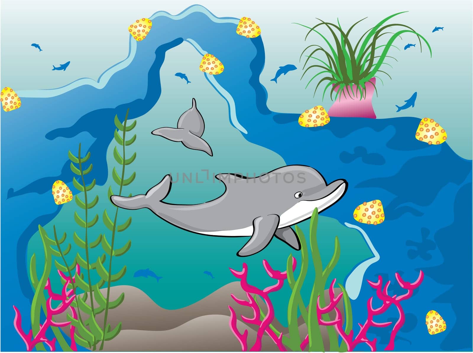Dolphins in reef