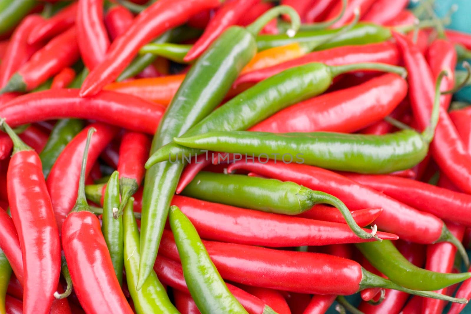 Red and Green Chilies on Display