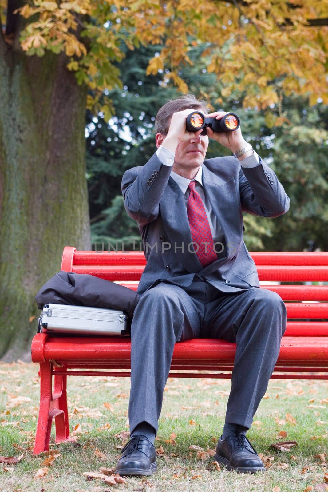 Businessman on a red park bench searching with binoculars