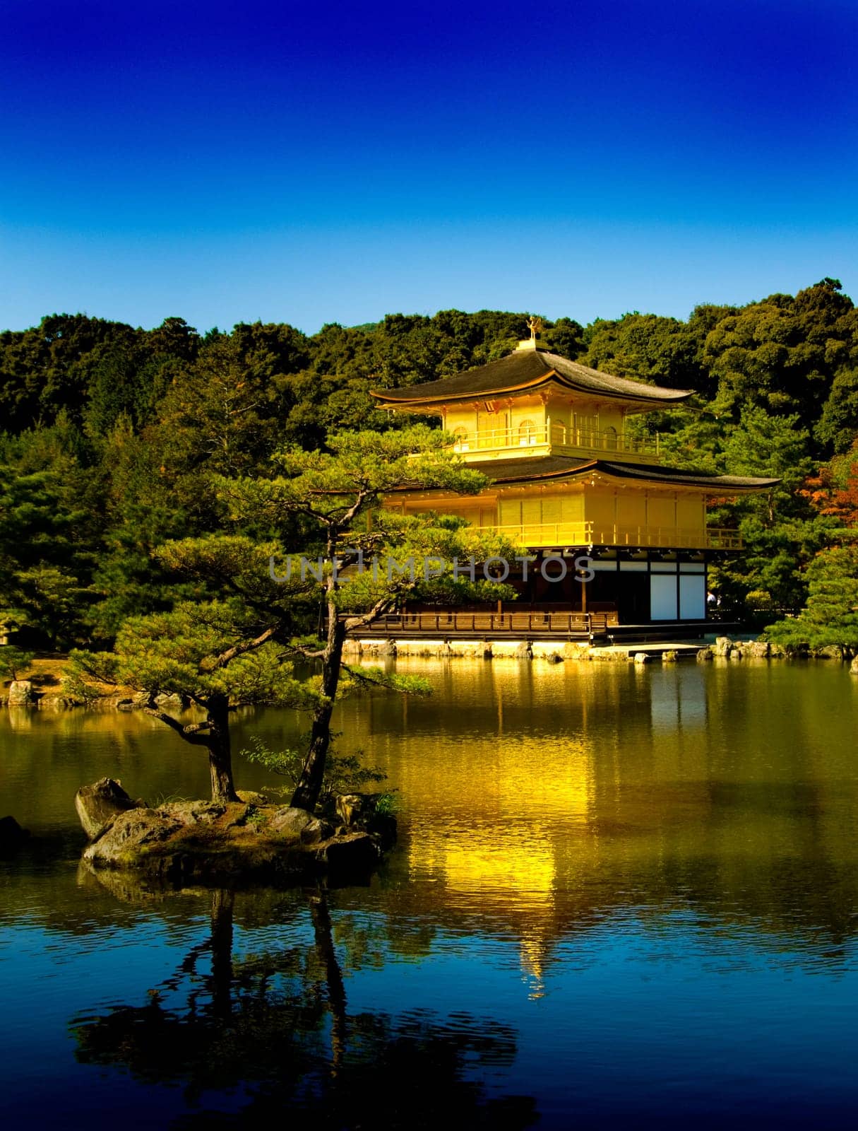 From Kyoto, Japan, the Golden Temple.