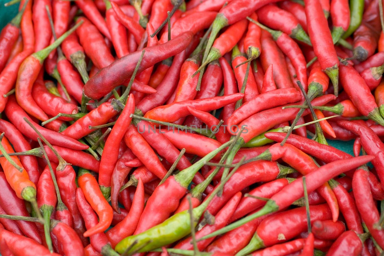 Red and Green Chilies on Display