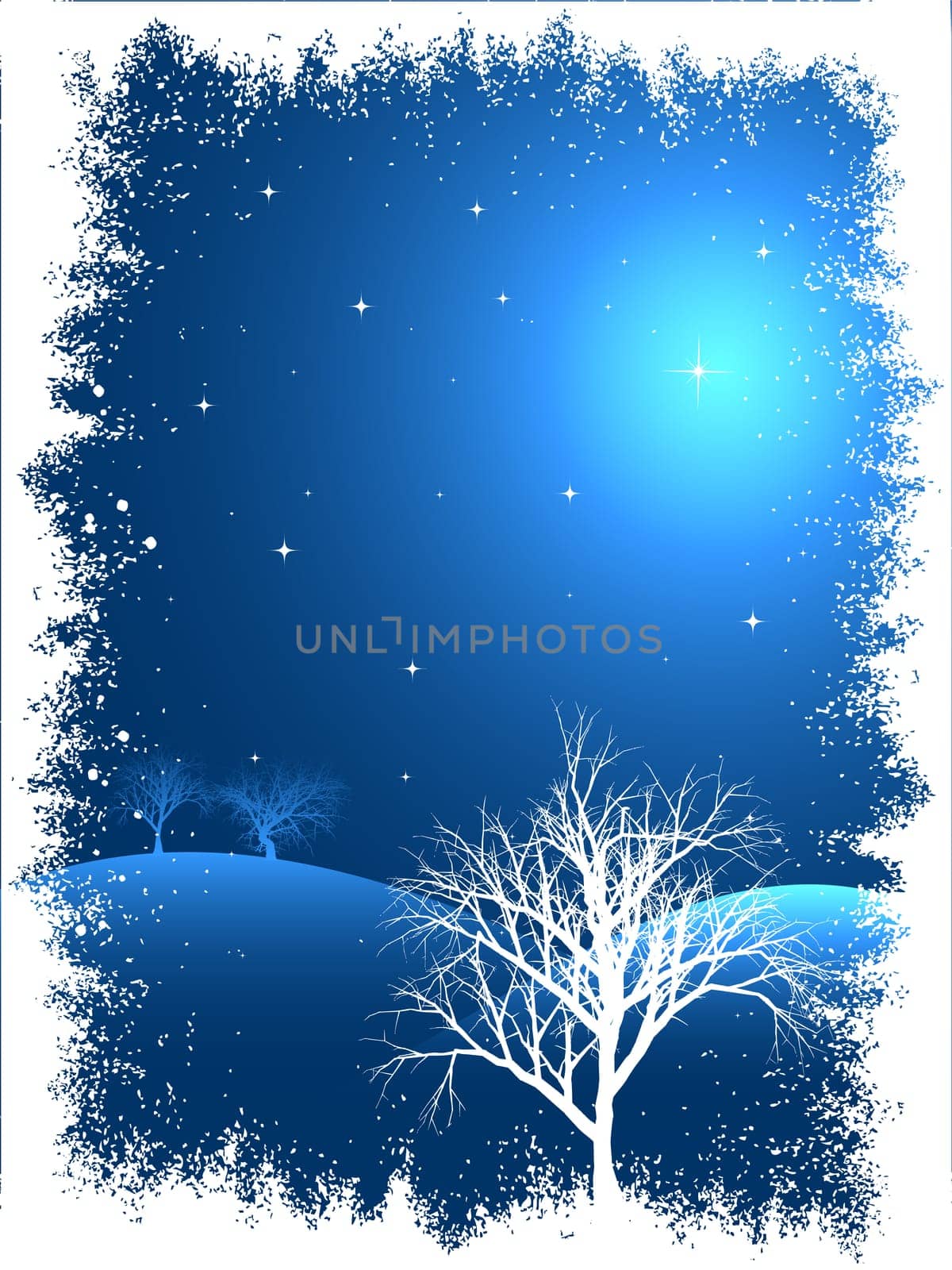 Winter trees with snowy border