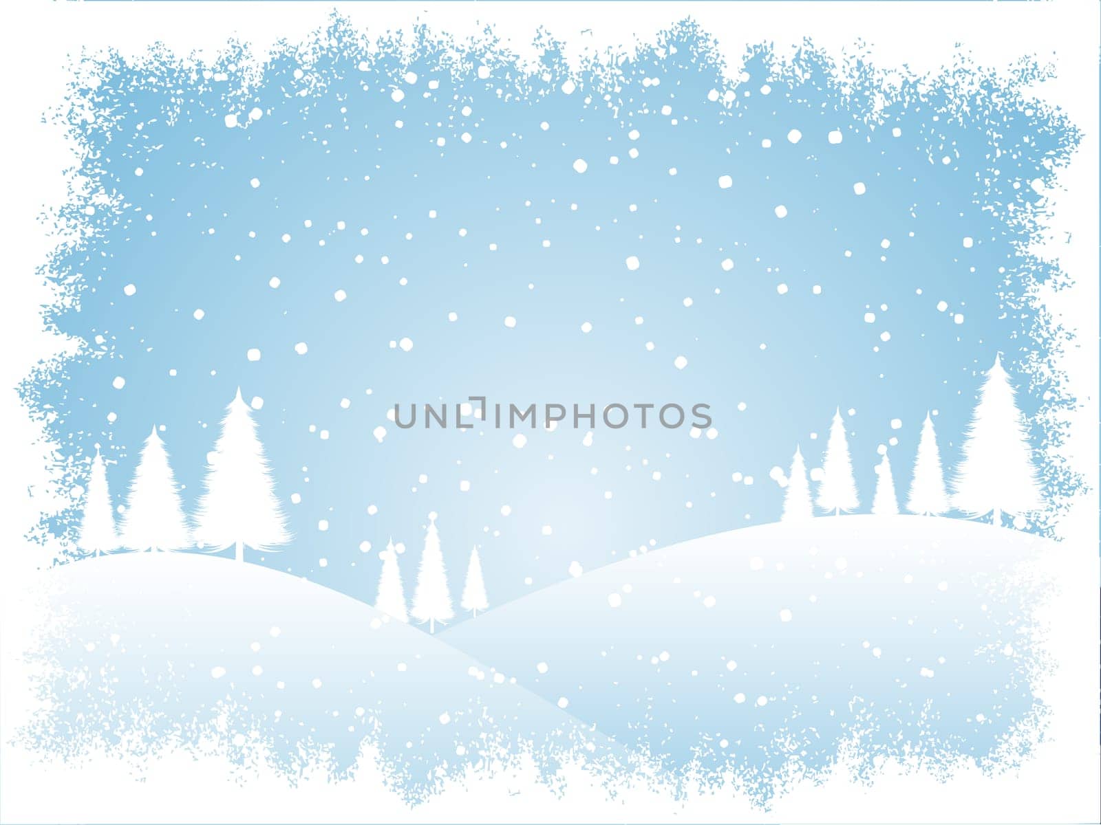 Winter trees with snowy border