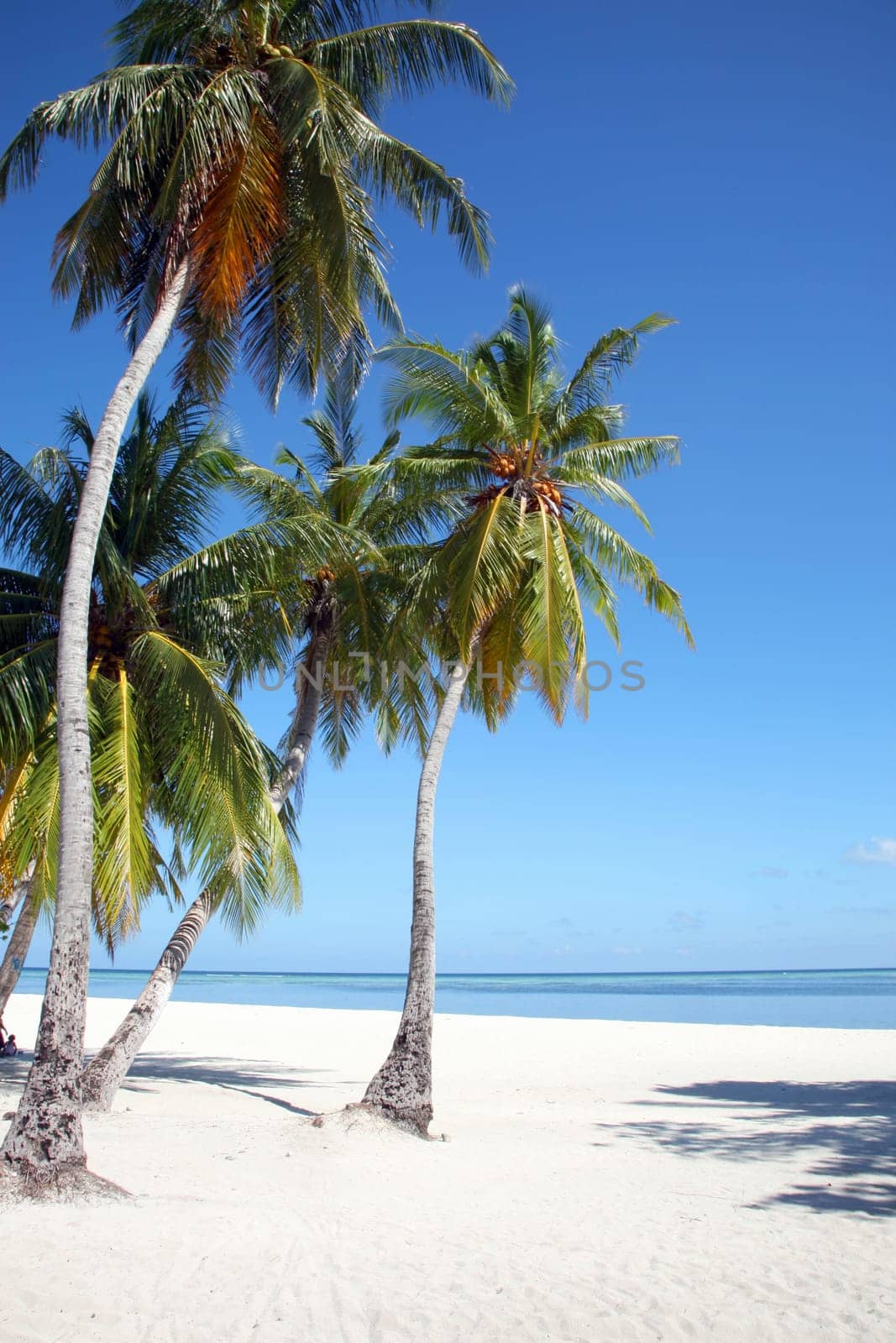 Island of Embudu in the Maldives