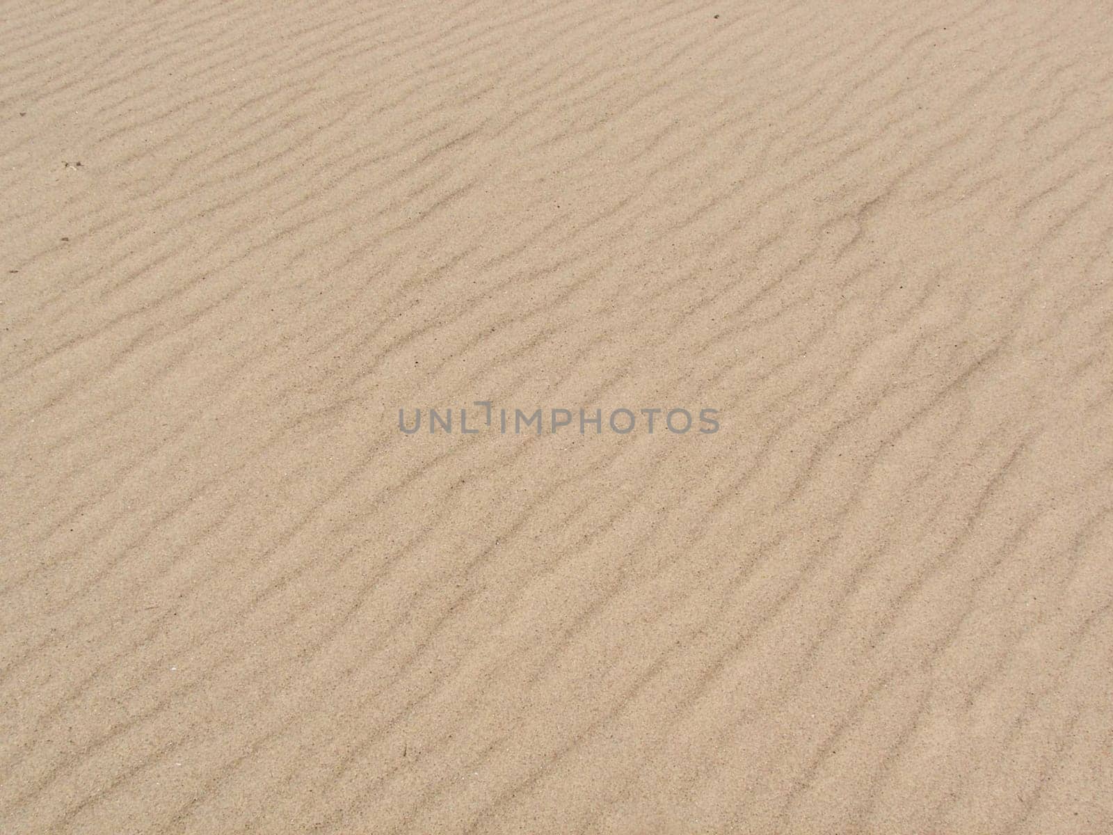 Background design of shifting sand on the beach