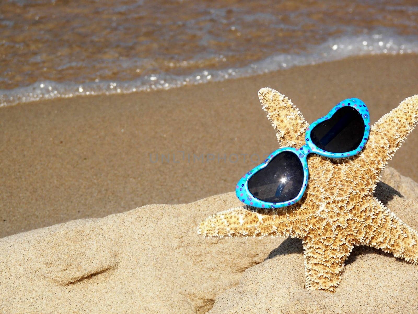 Cute starfish lying in the sand with sunglasses.