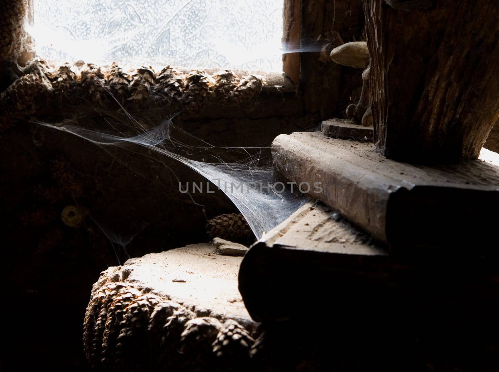 Old Books in dust and cobwebs