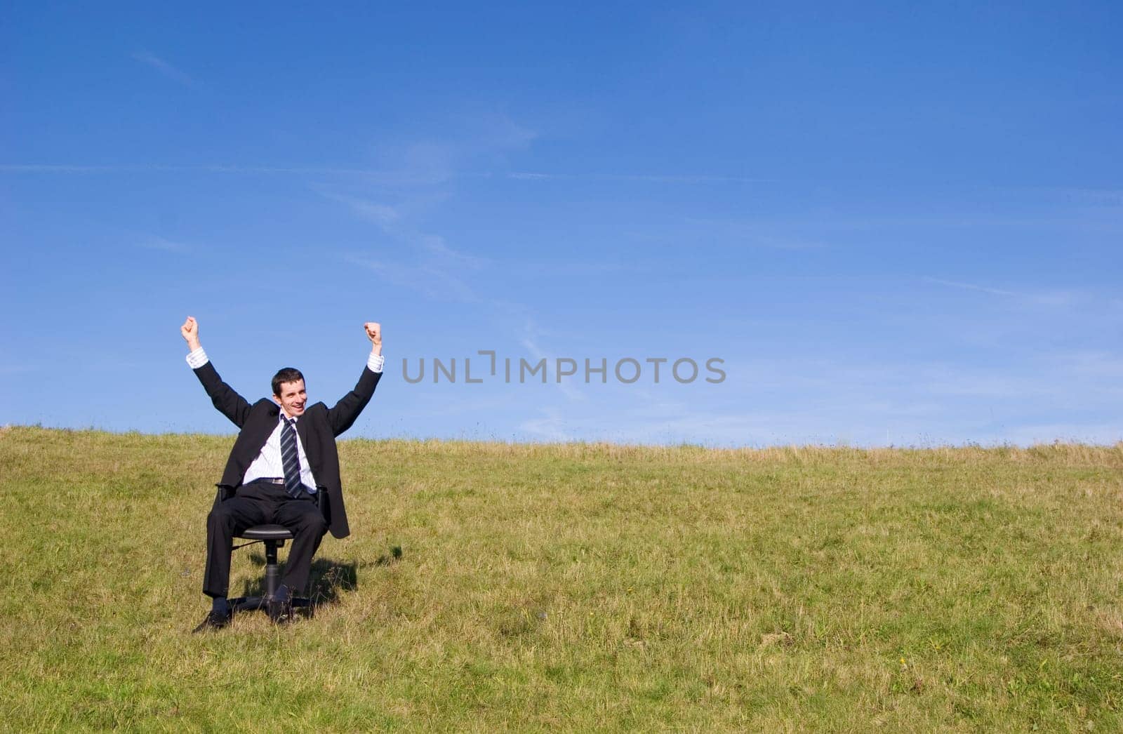Young businessman on the meadow
