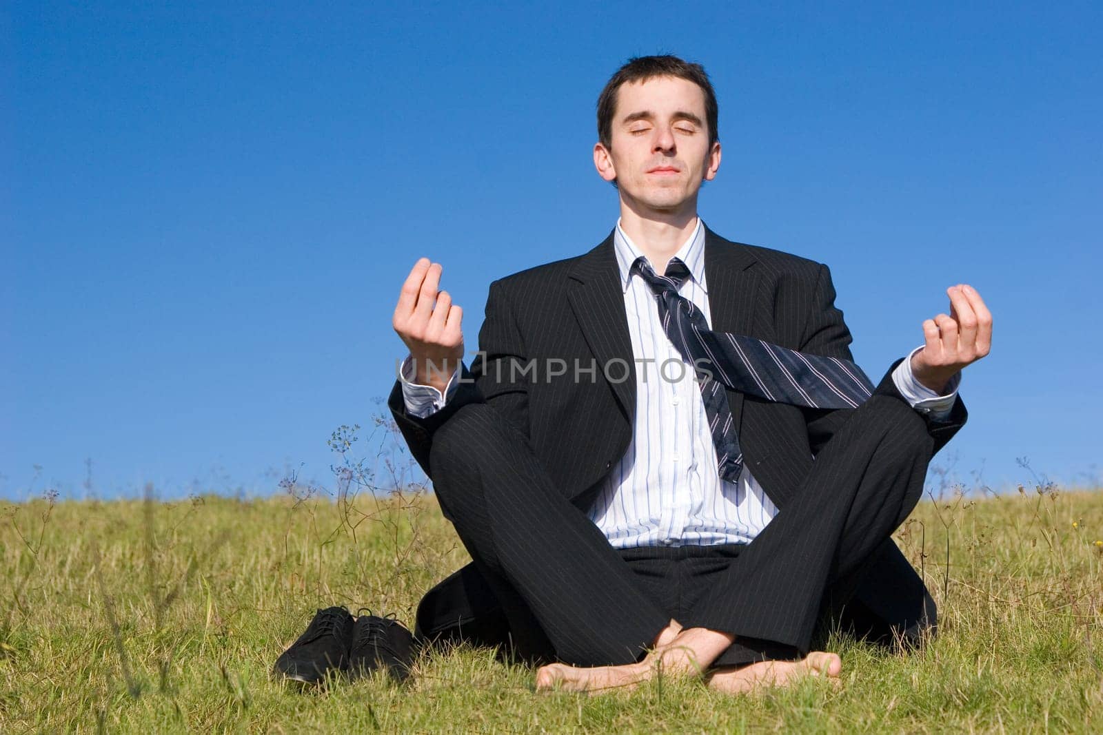 Young businessman on the meadow