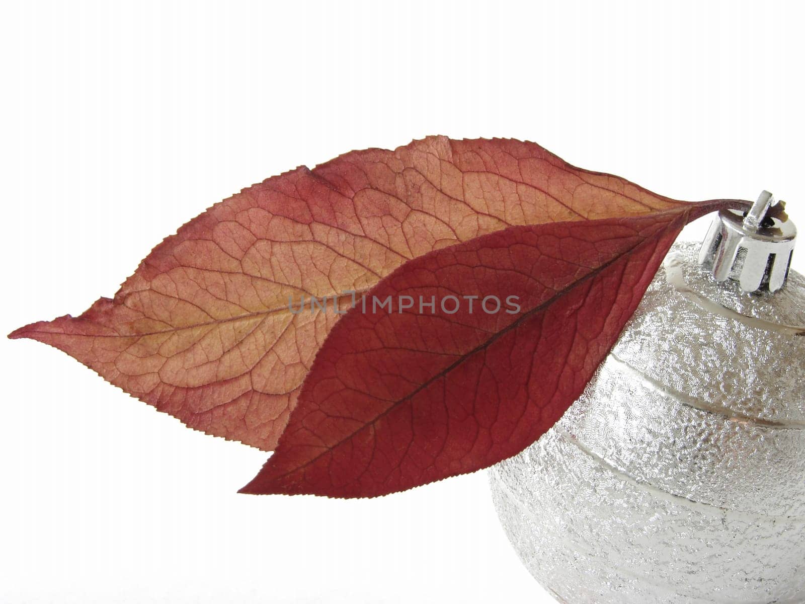 christmas design with bauble and autumnal leaves