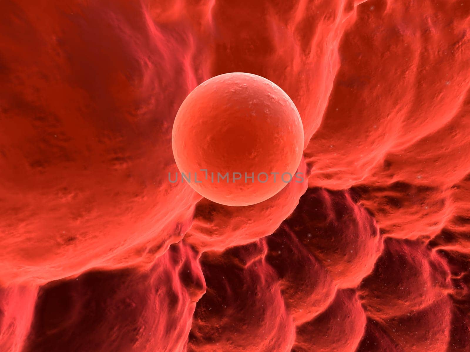3d rendered close up of a human egg