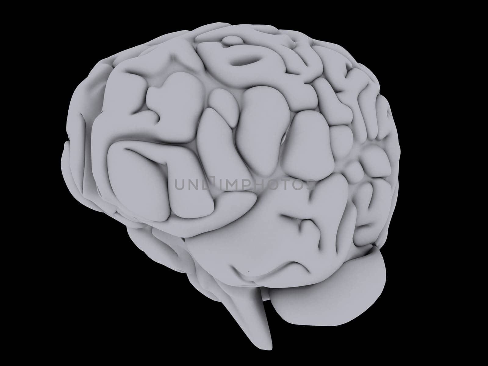 3d rendered anatomy illustration of a grey human brain