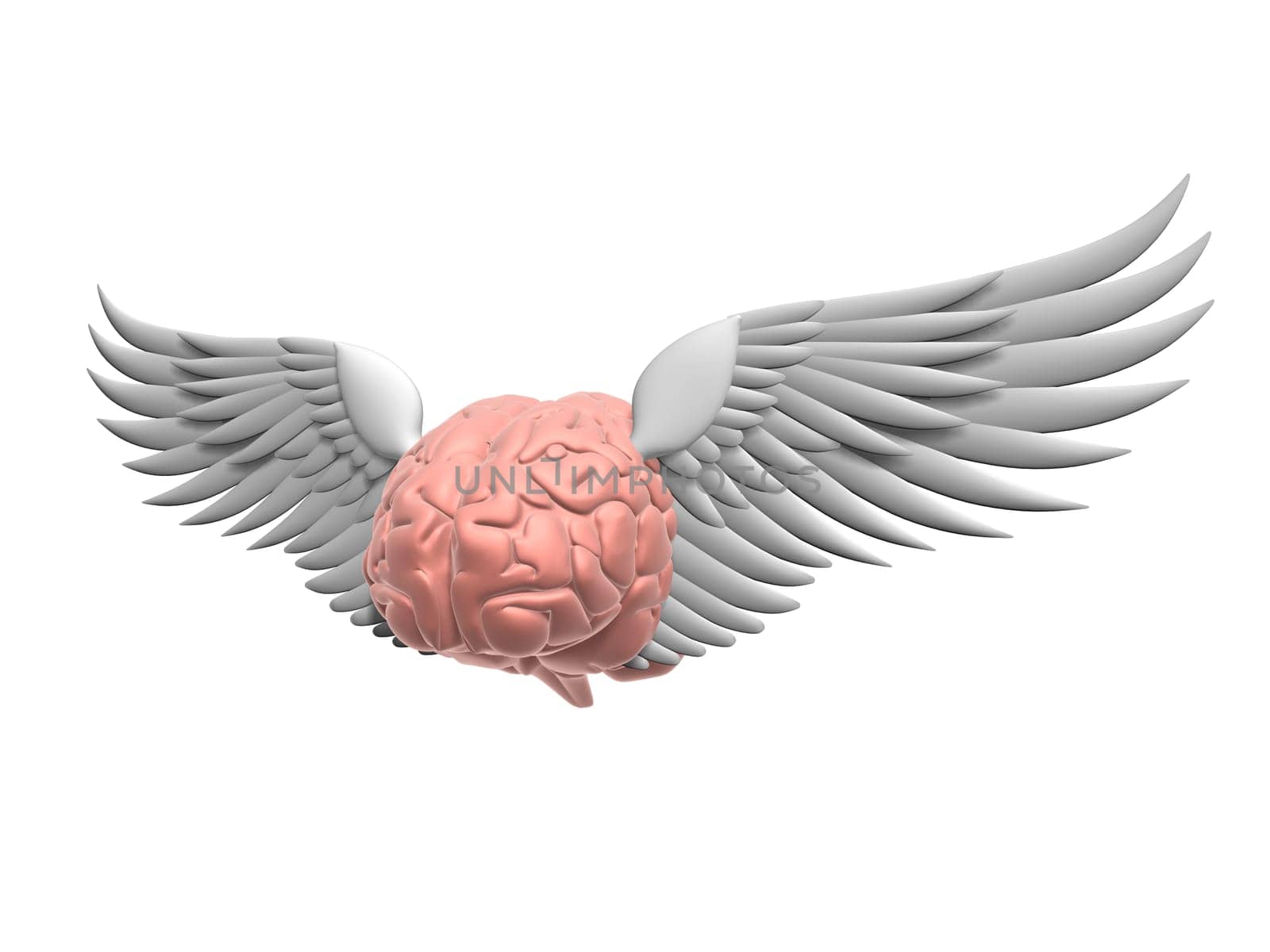 3d rendered illustration of a human brain with wings