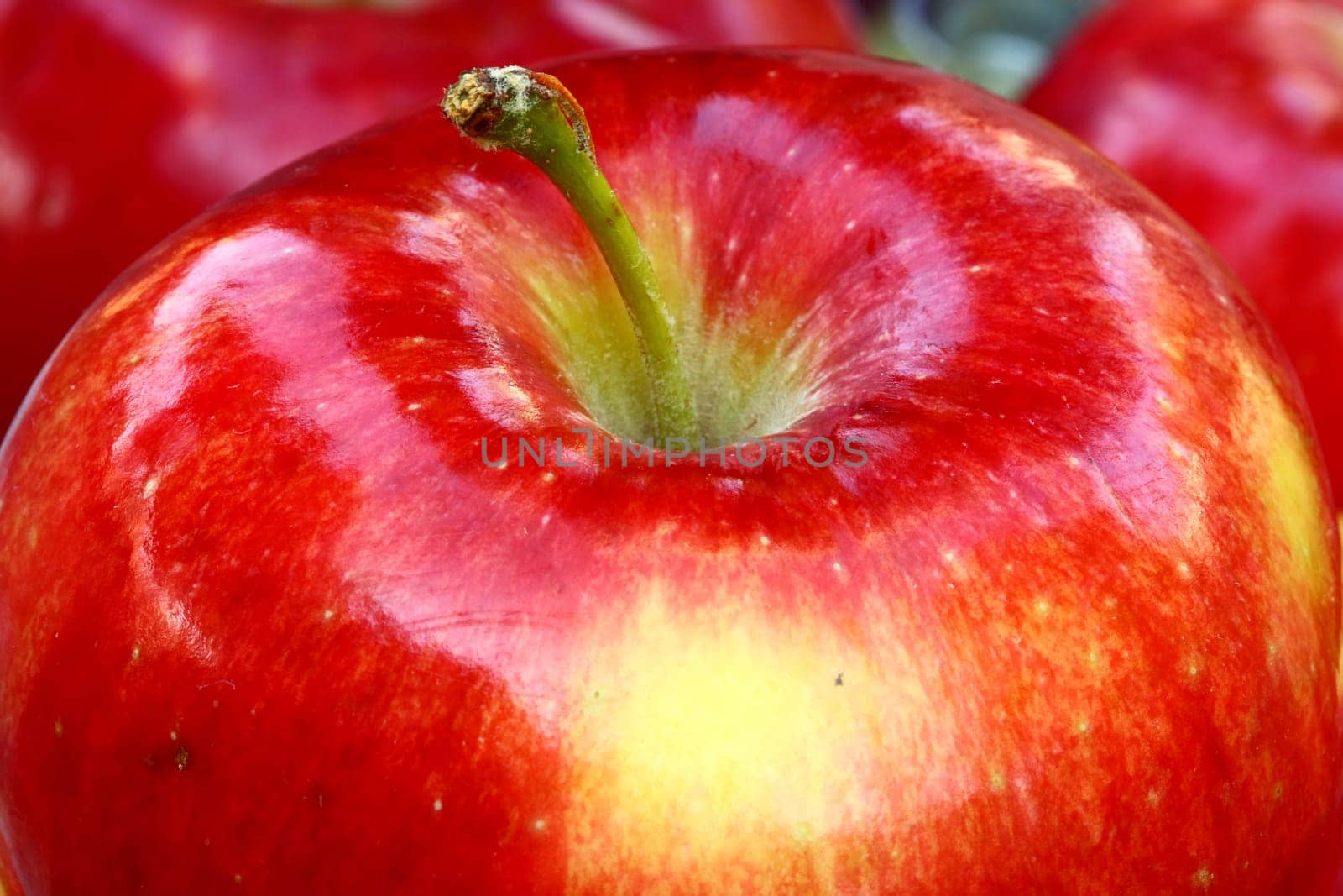 close up of red apples