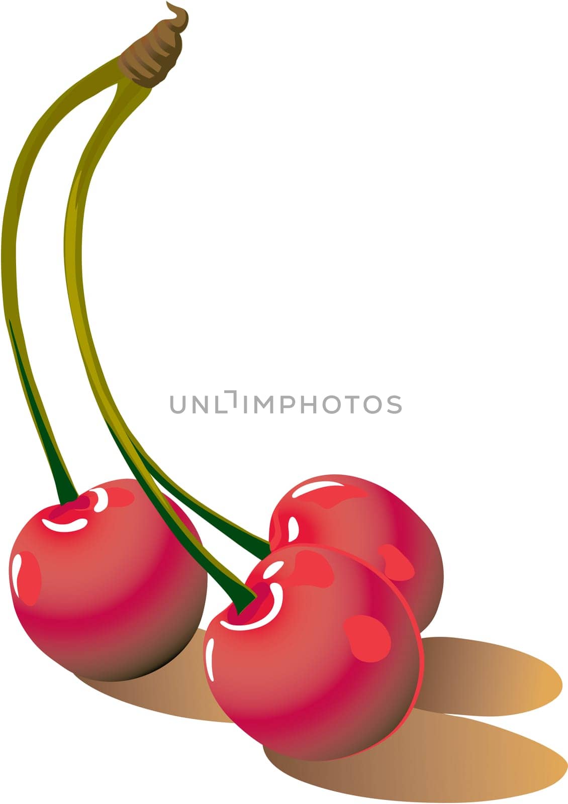 Illustration of red cherrys