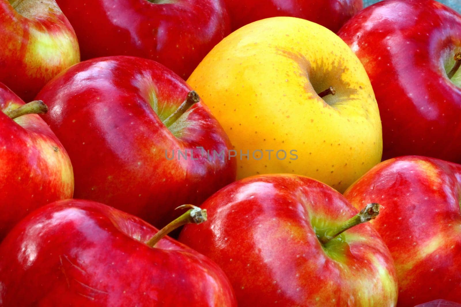 yellow and red apples