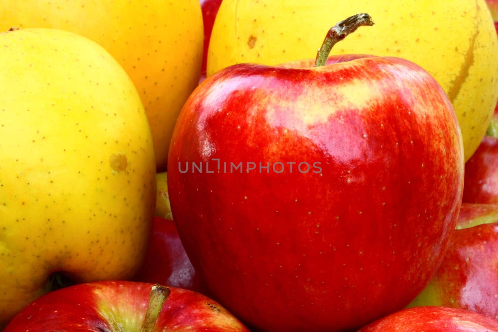 close up of red and yellow plle