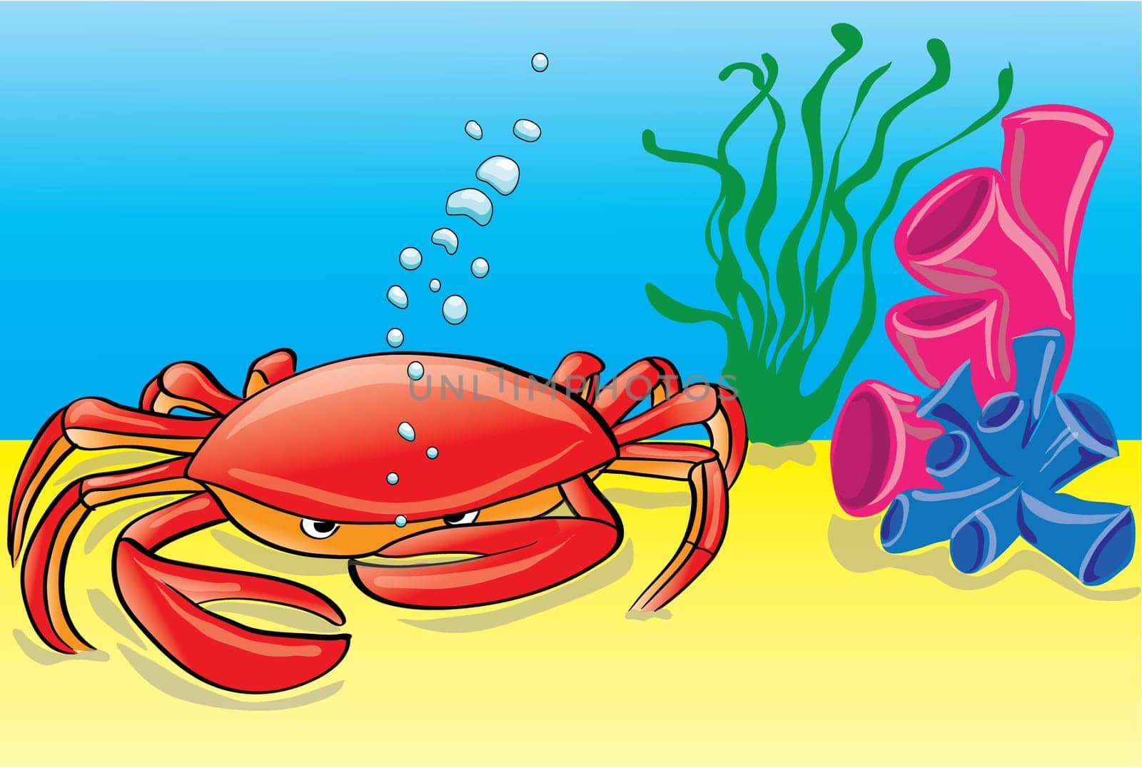 Illustration of a red crab