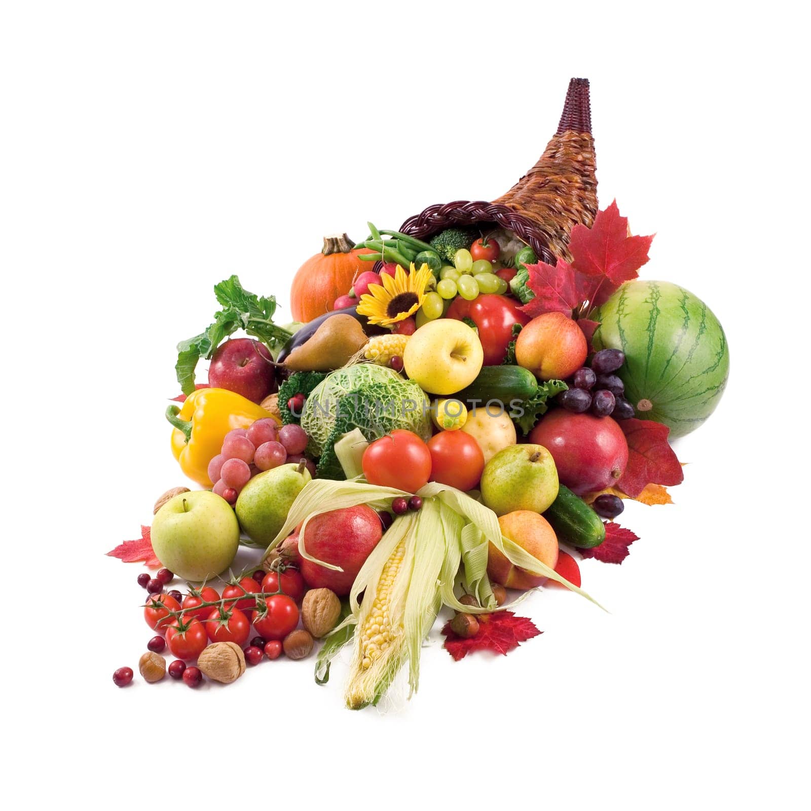 Horn of plenty