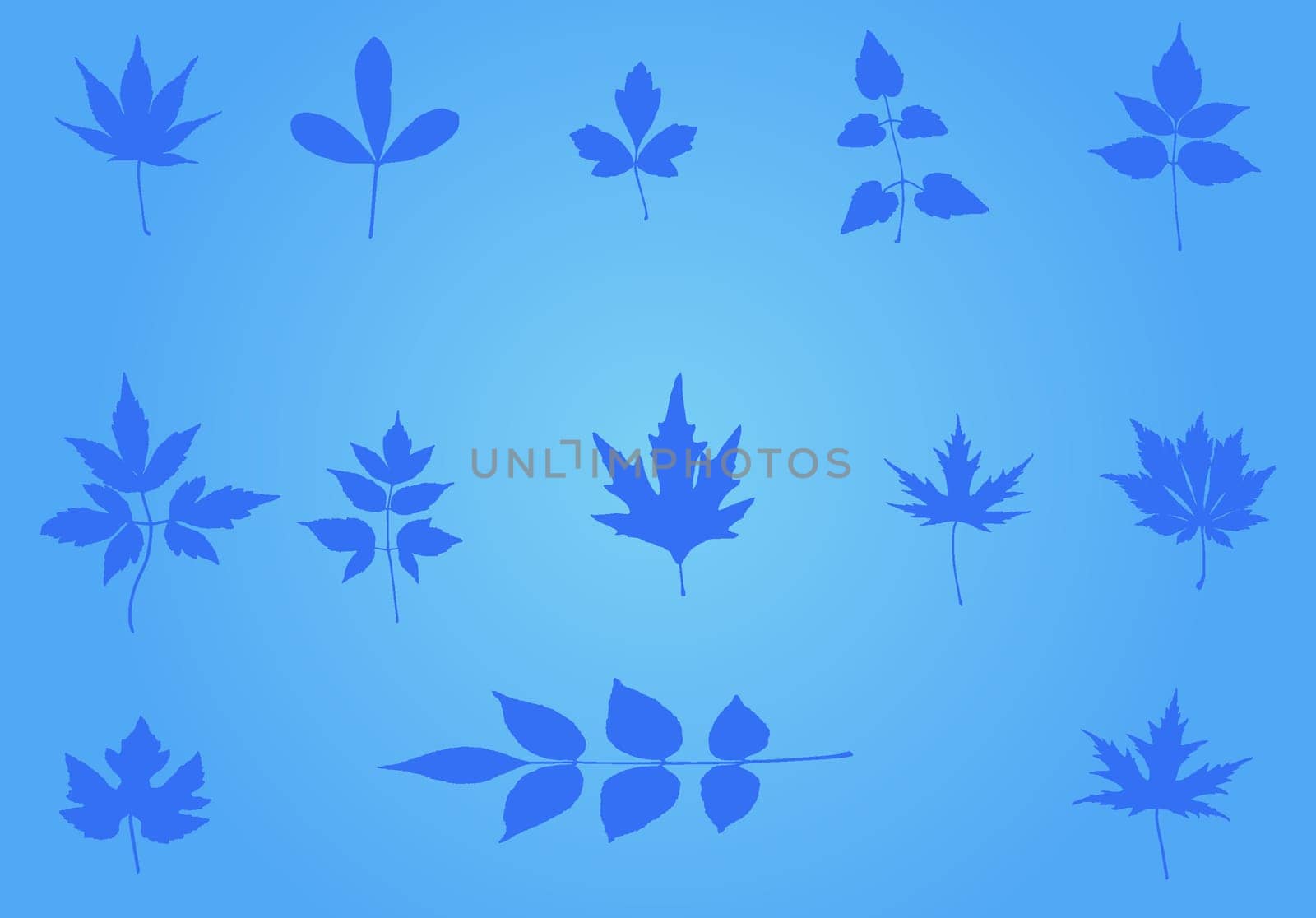 Floral background - vector