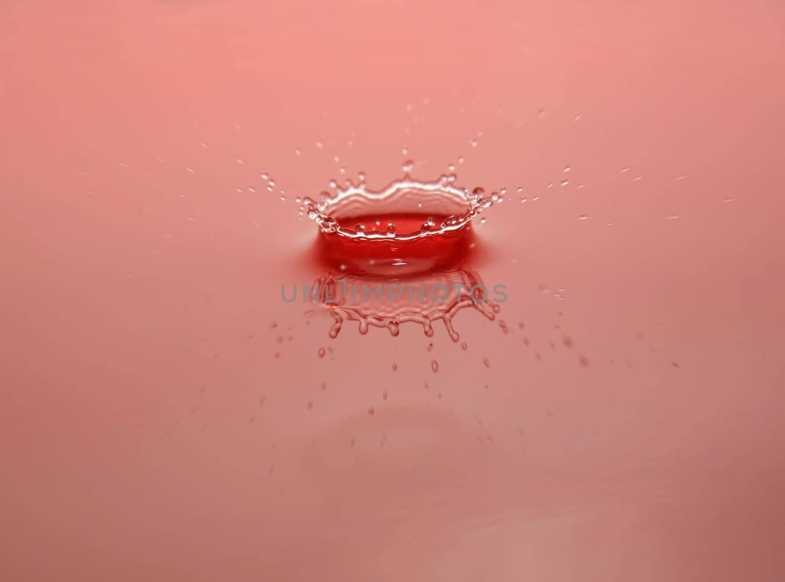 Water Splash forming a Crown with reflection