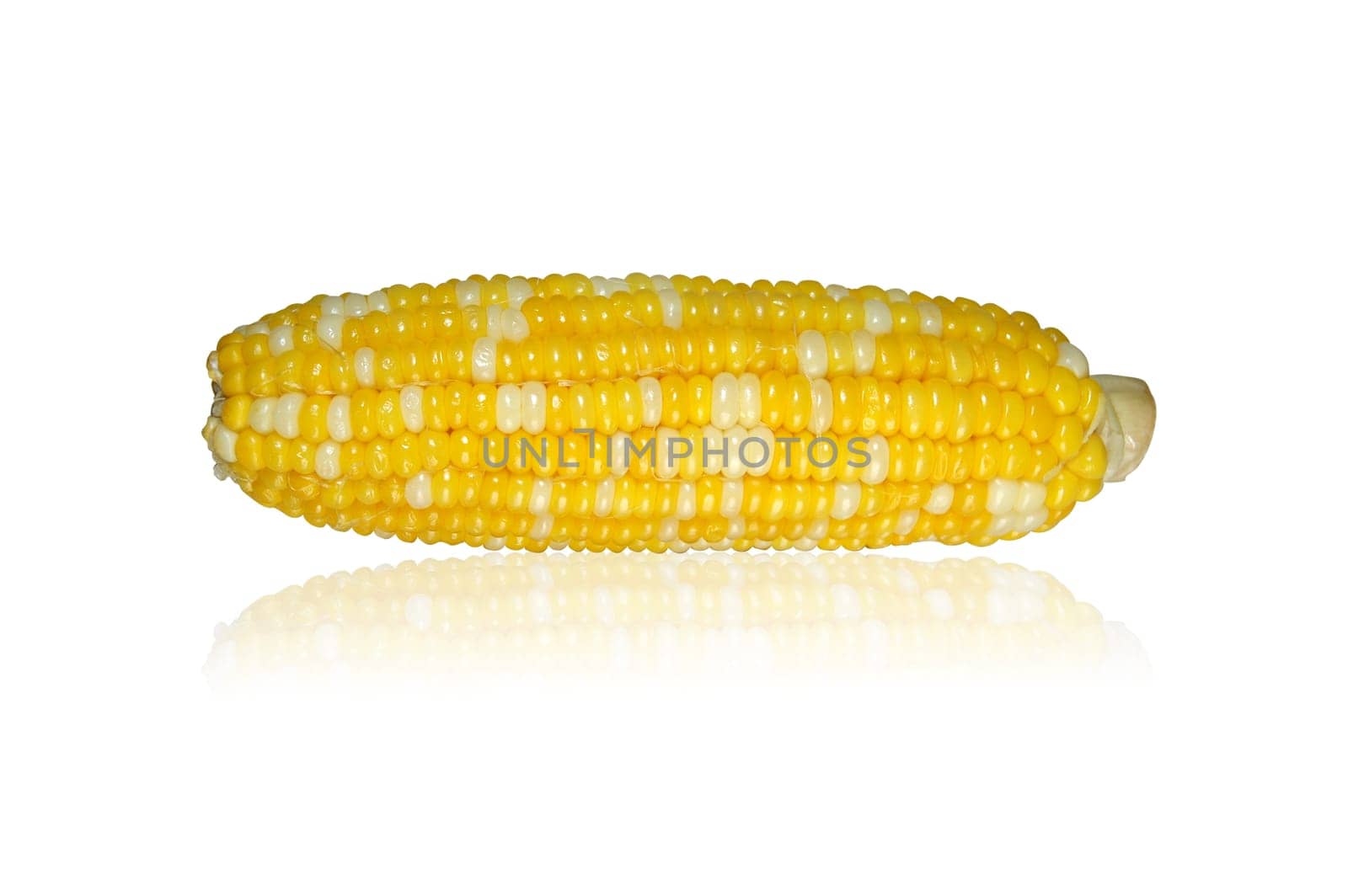Corn cob with reflection on a white background