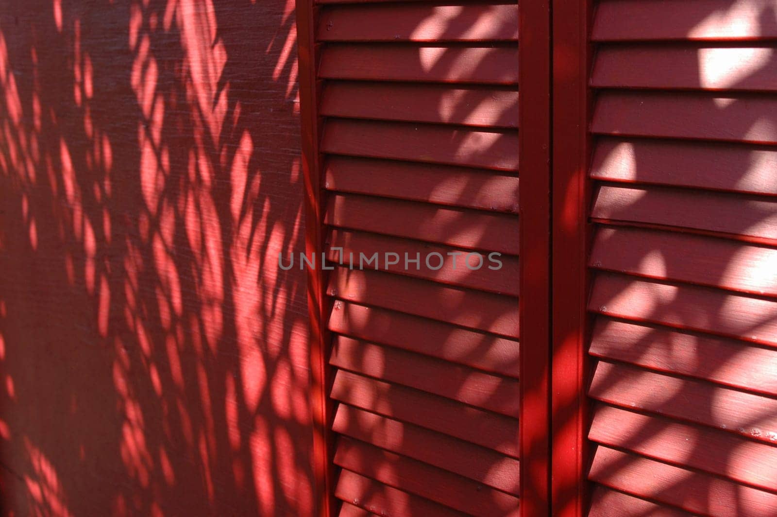 A deep red accordian door & wall with leaf sillhouettes.