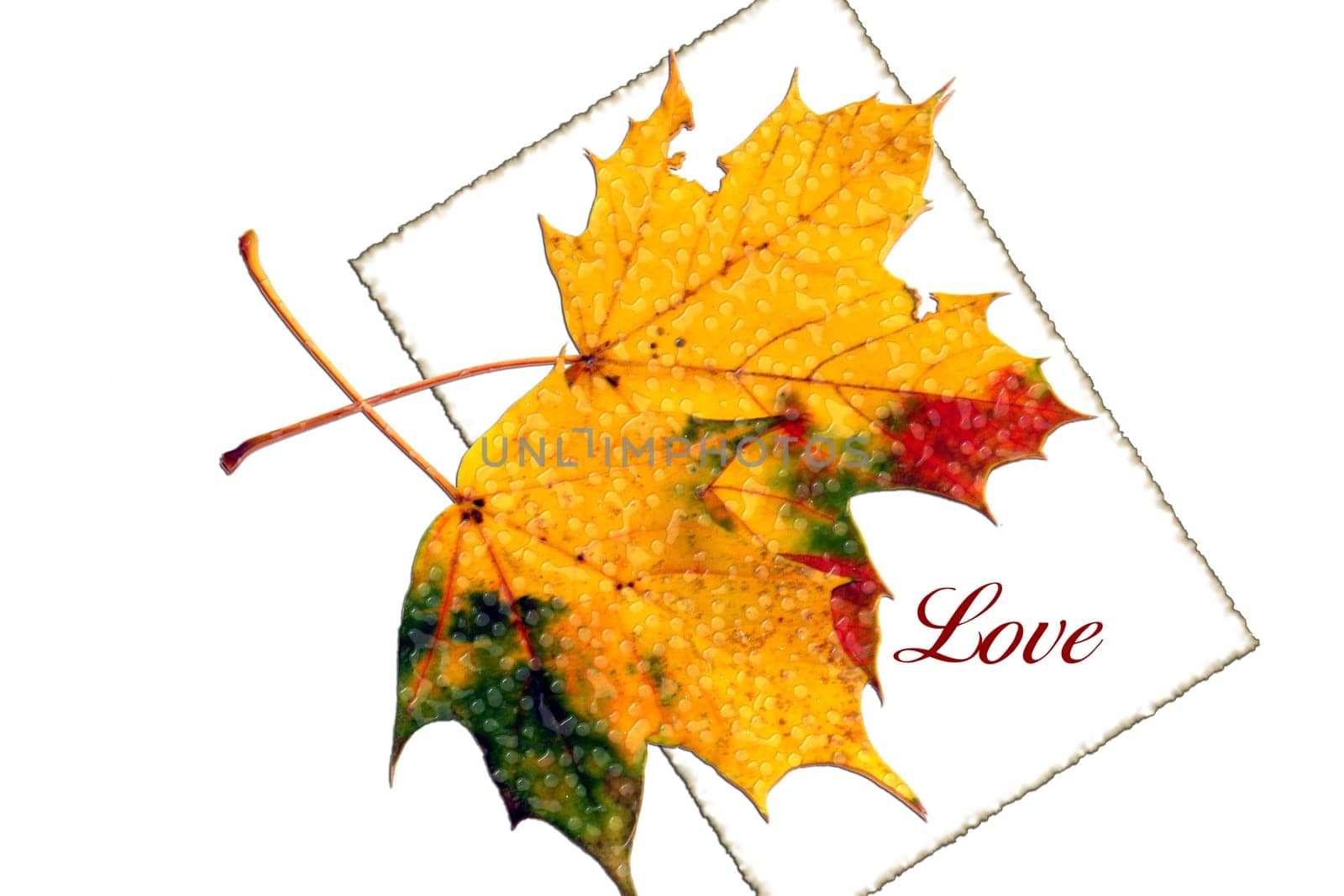 love
