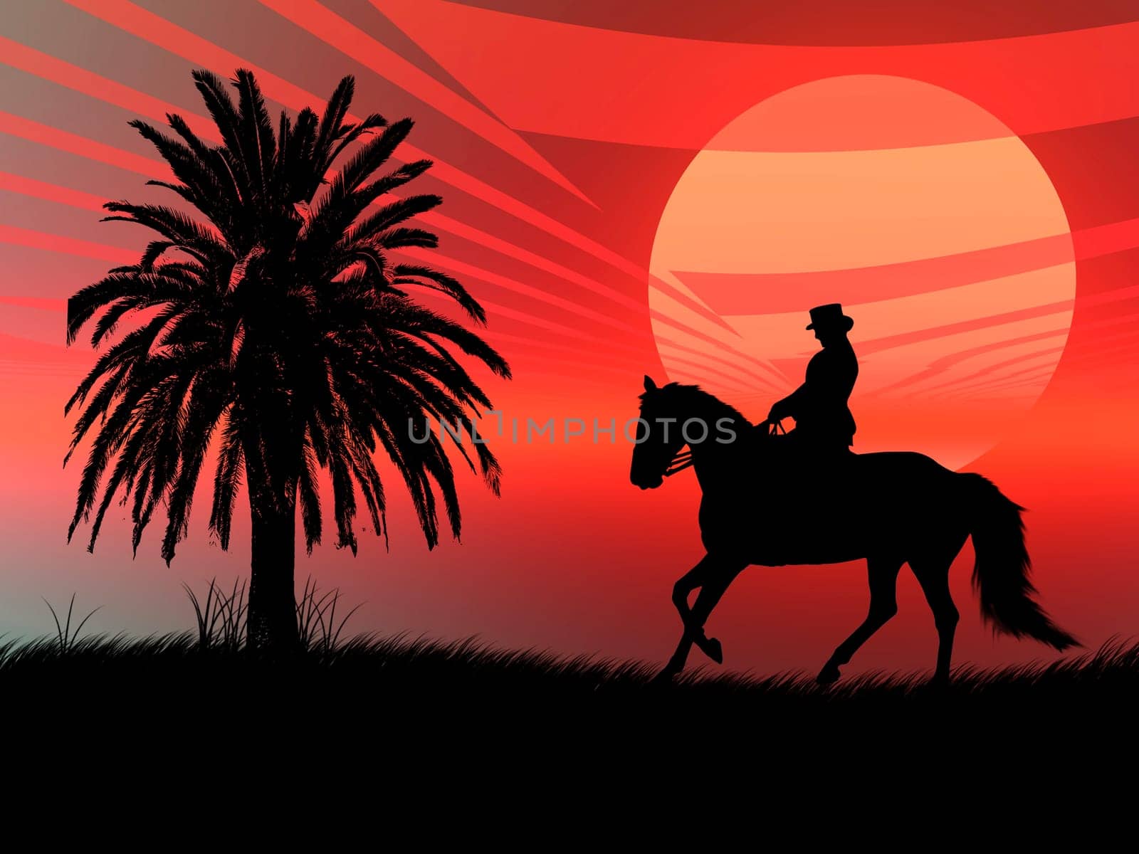 Wild horse silhouette in a red sunset