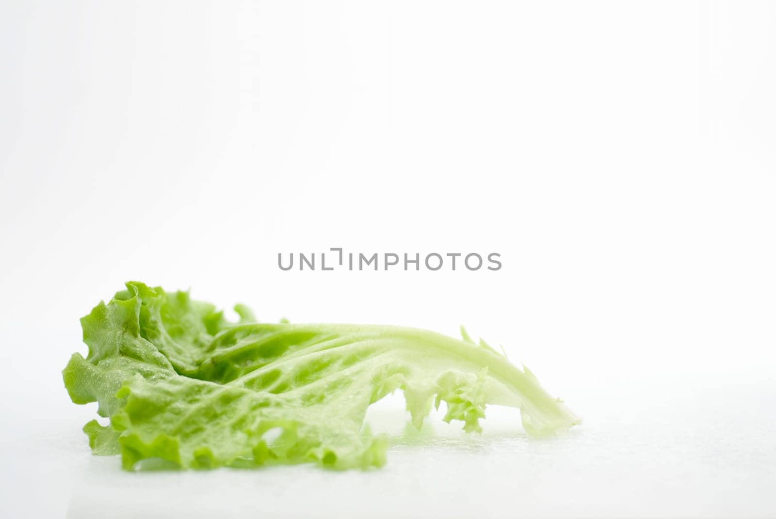 fresh vegetable lettuce isolated on a white background with drops of water