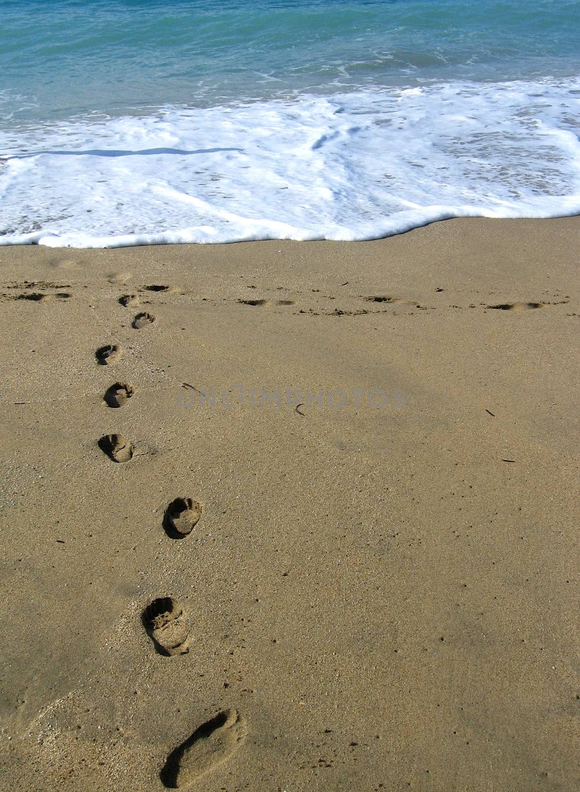 To the sea
