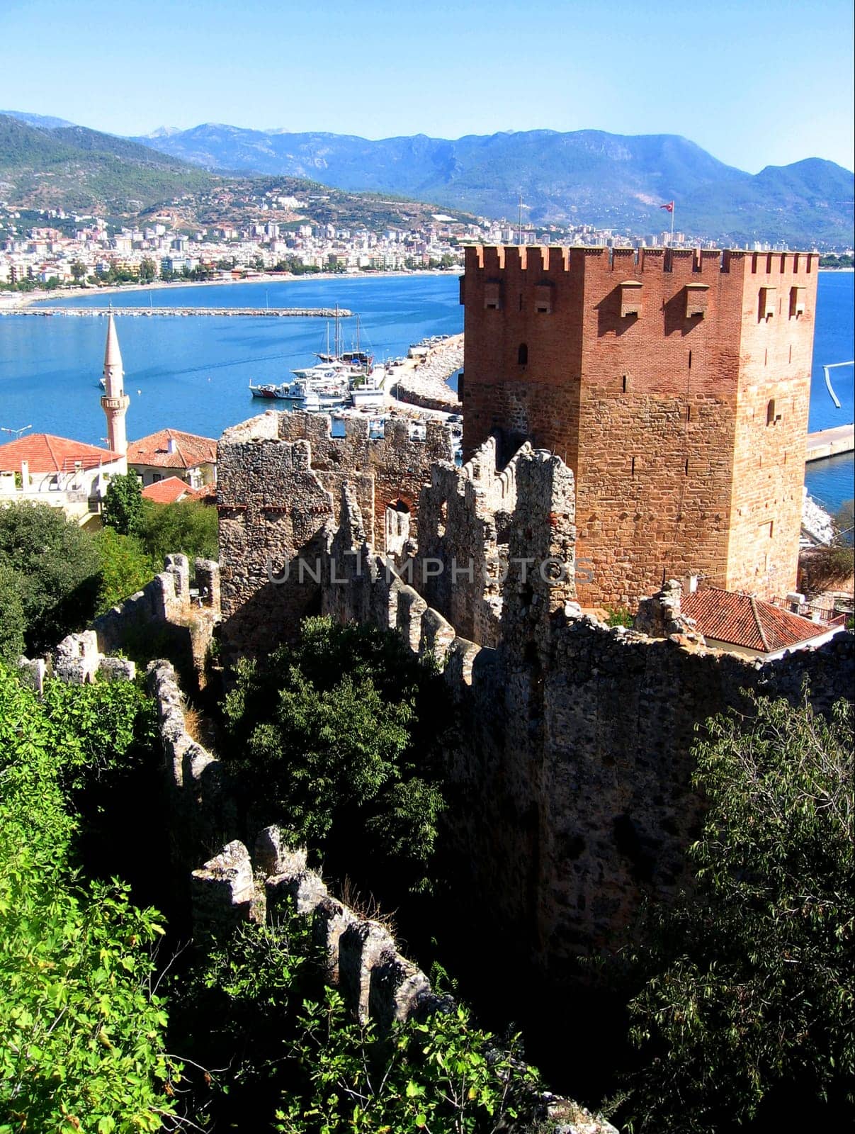 Fort Turkey