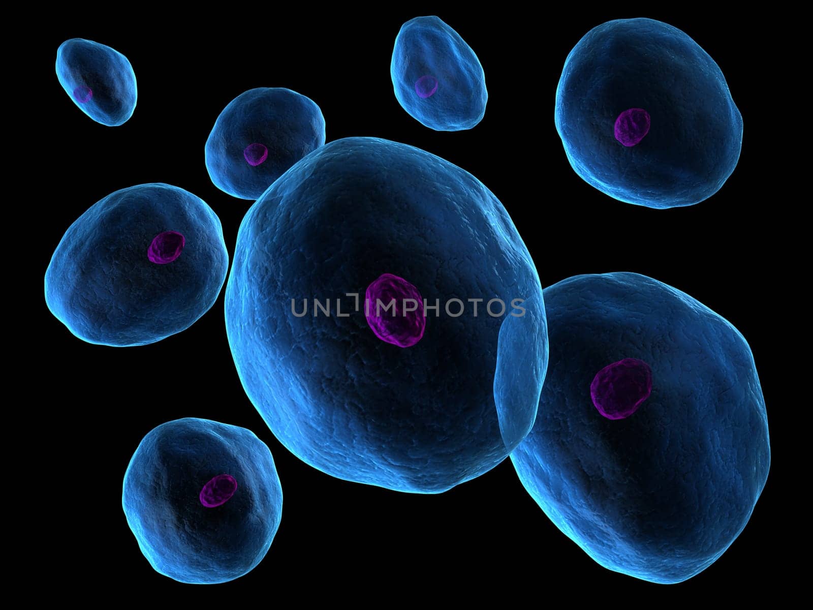 3d rendered close up of cells with nucleus