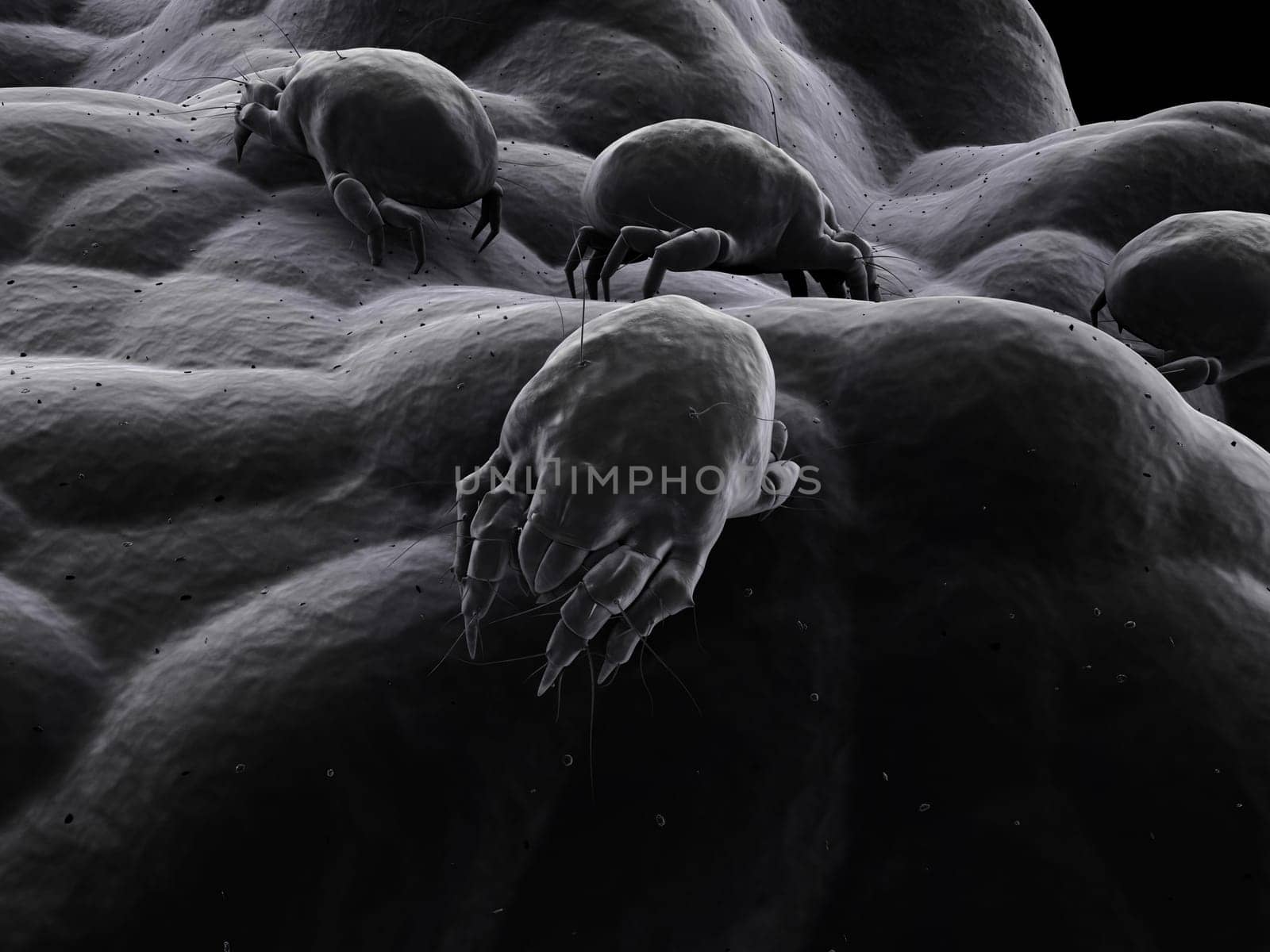 3d rendered close up of an isolated mite