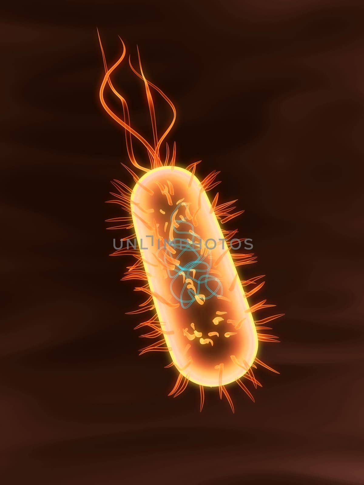 3d rendered close up of an isolated bacterium