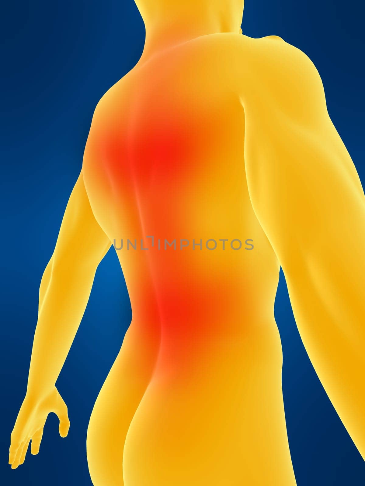 3d rendered anatomy illustration of a human shape with a painful back