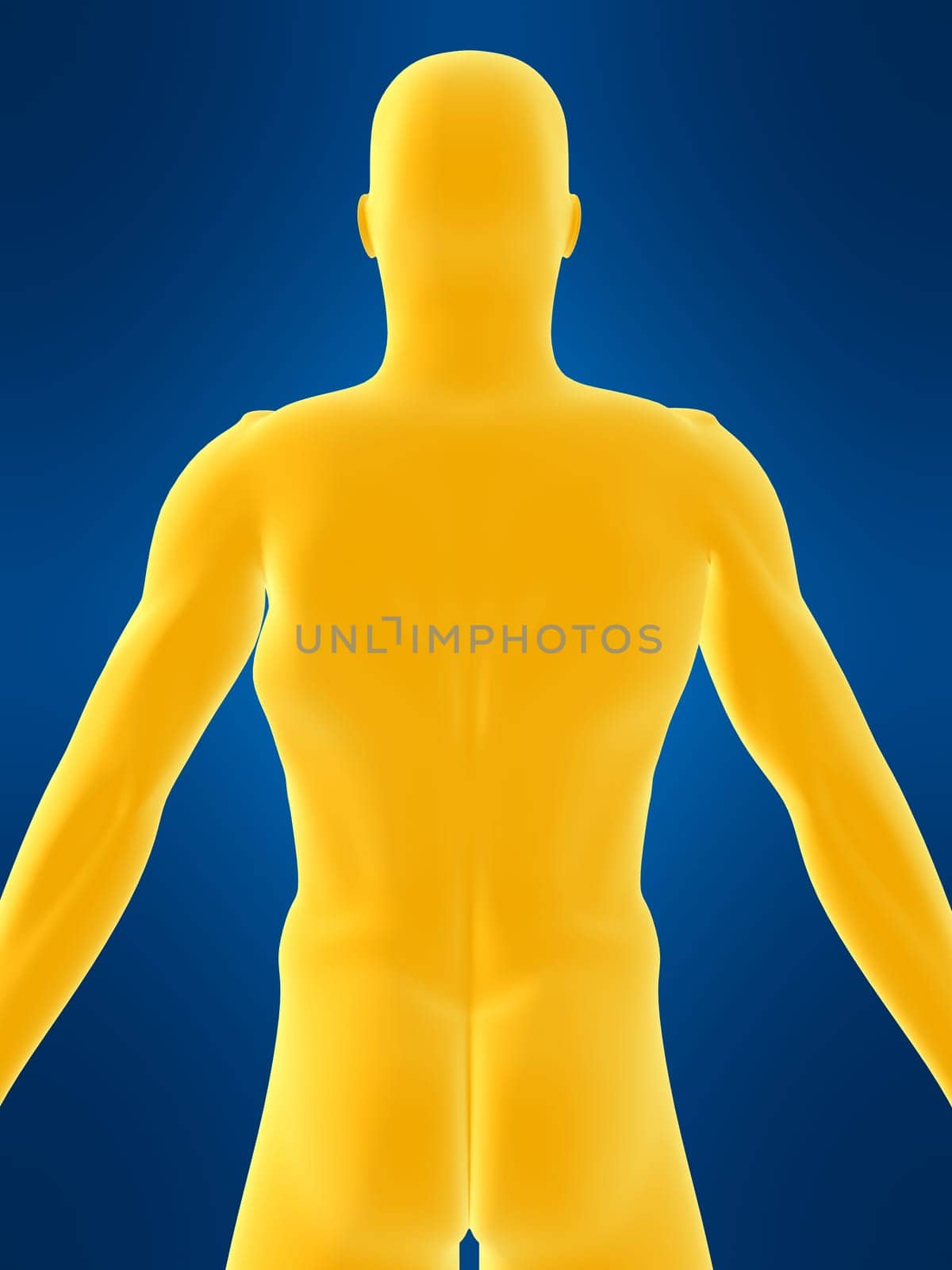 3d rendered illustration of a male back shape