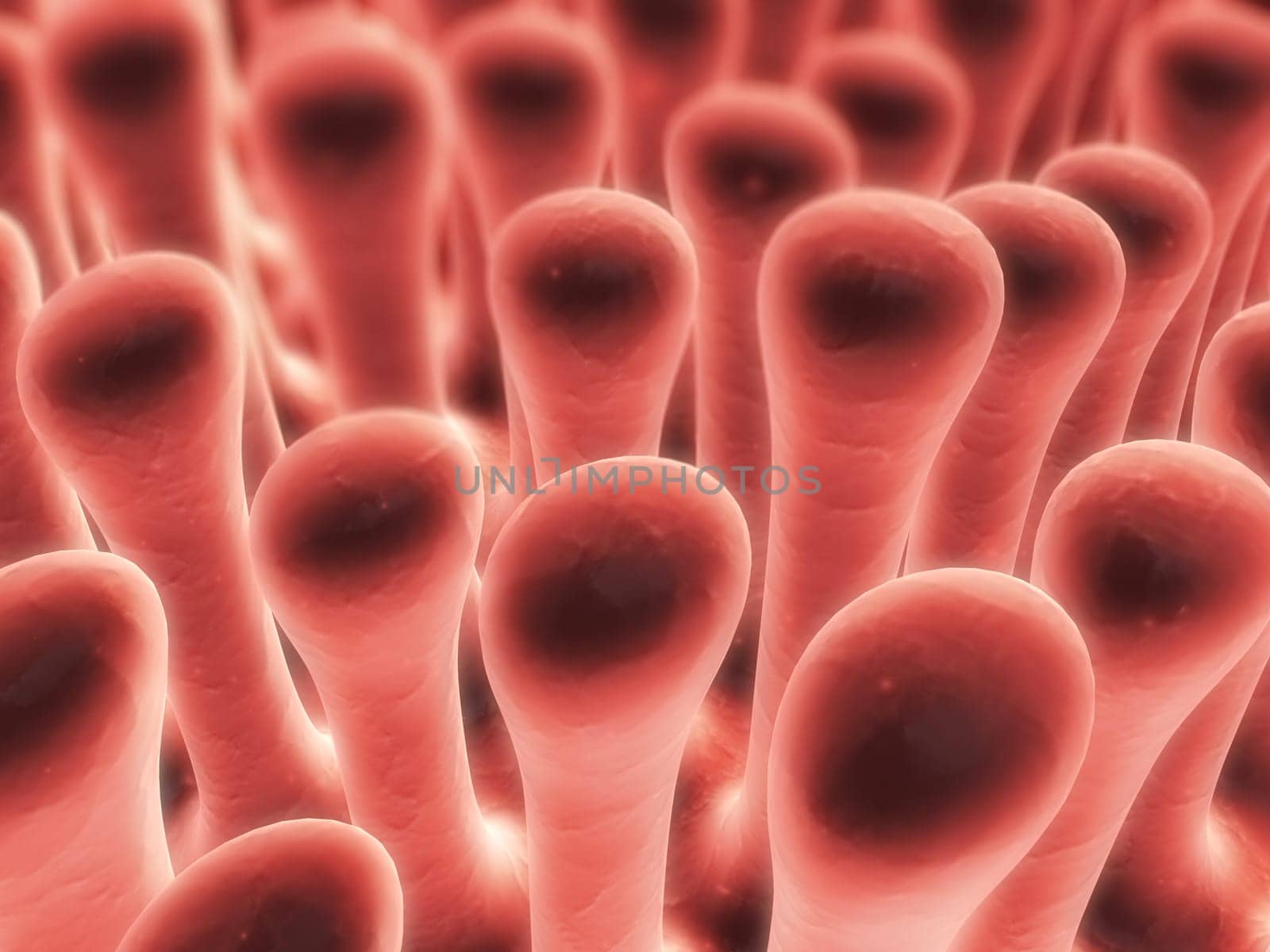 3d rendered close up of colon villi