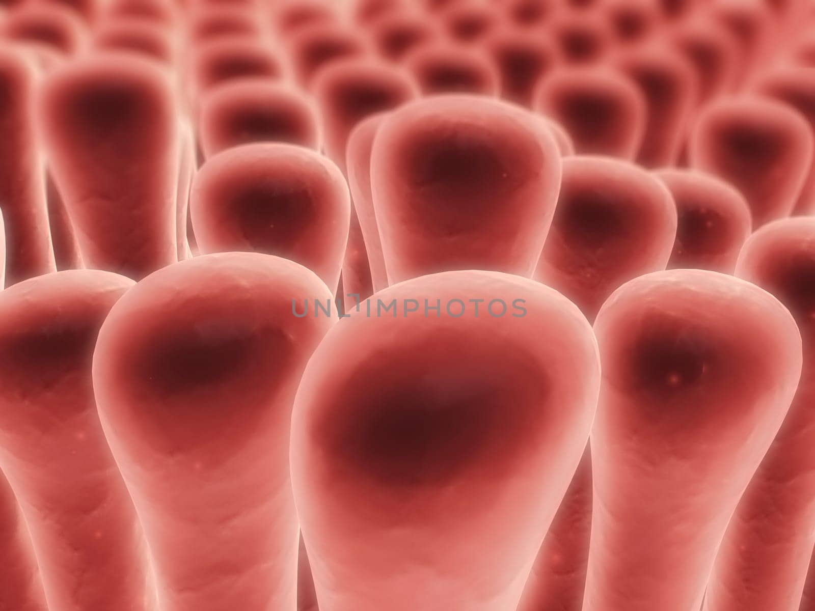 3d rendered close up of colon villi