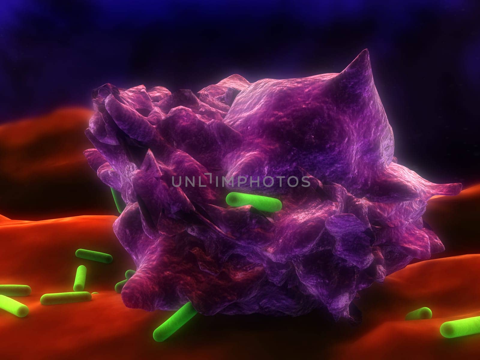 3d rendered illustration of an eating macrophage