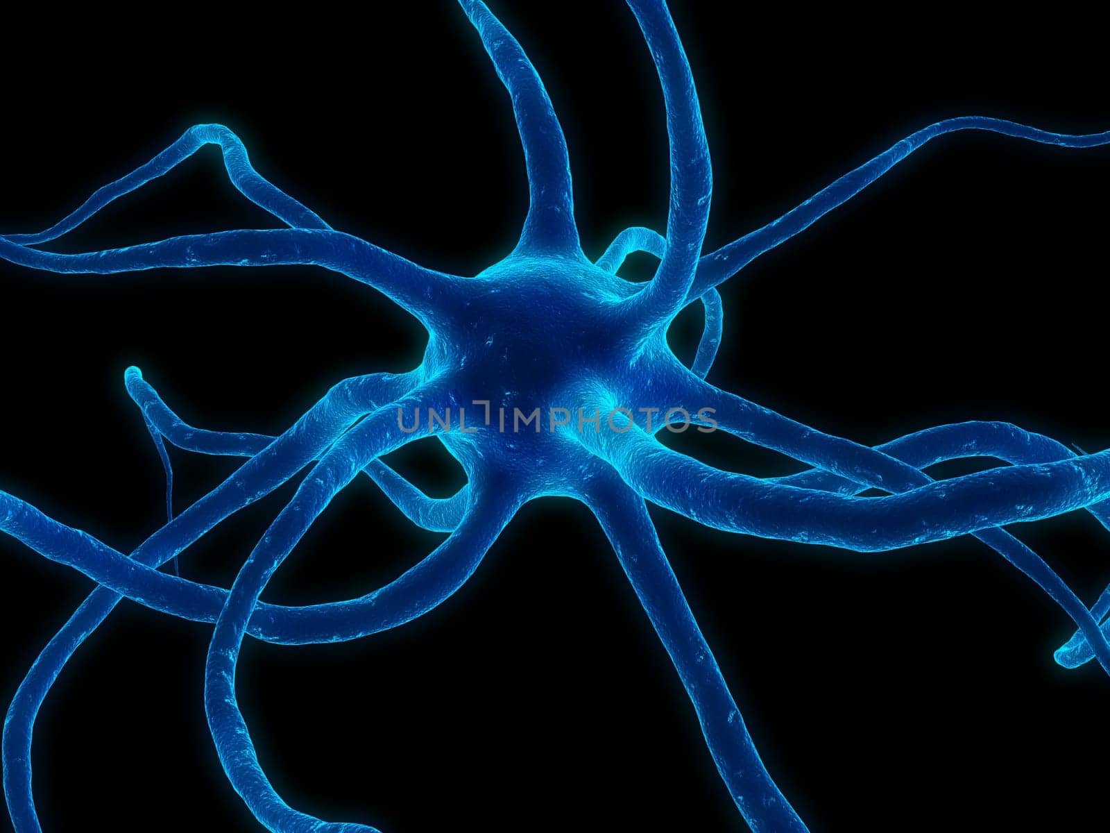 3d rendered close up of isolated nerve cells