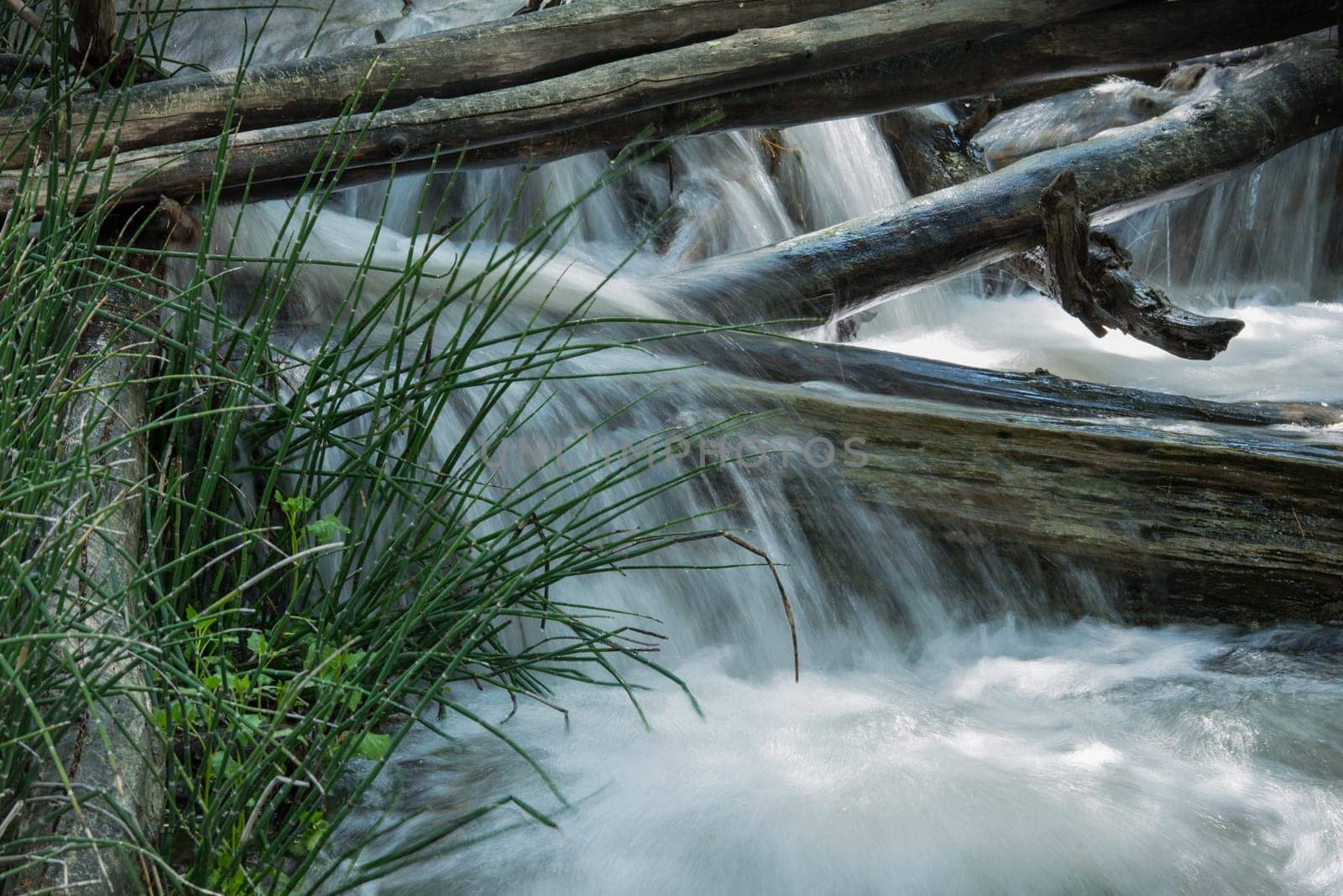 Running wilderness smooth stream babbles