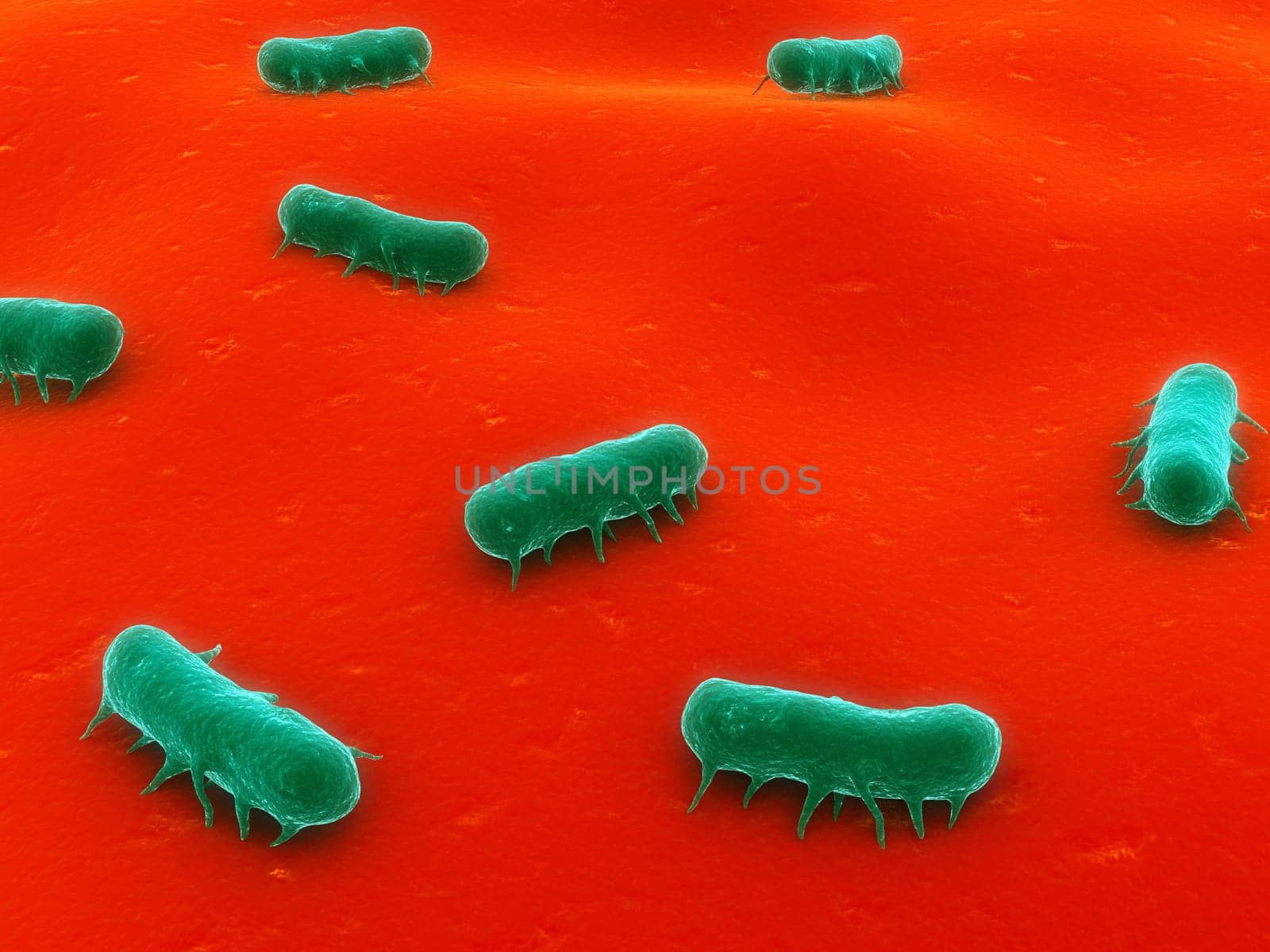 3d rendered close up of some salmonella bacteria