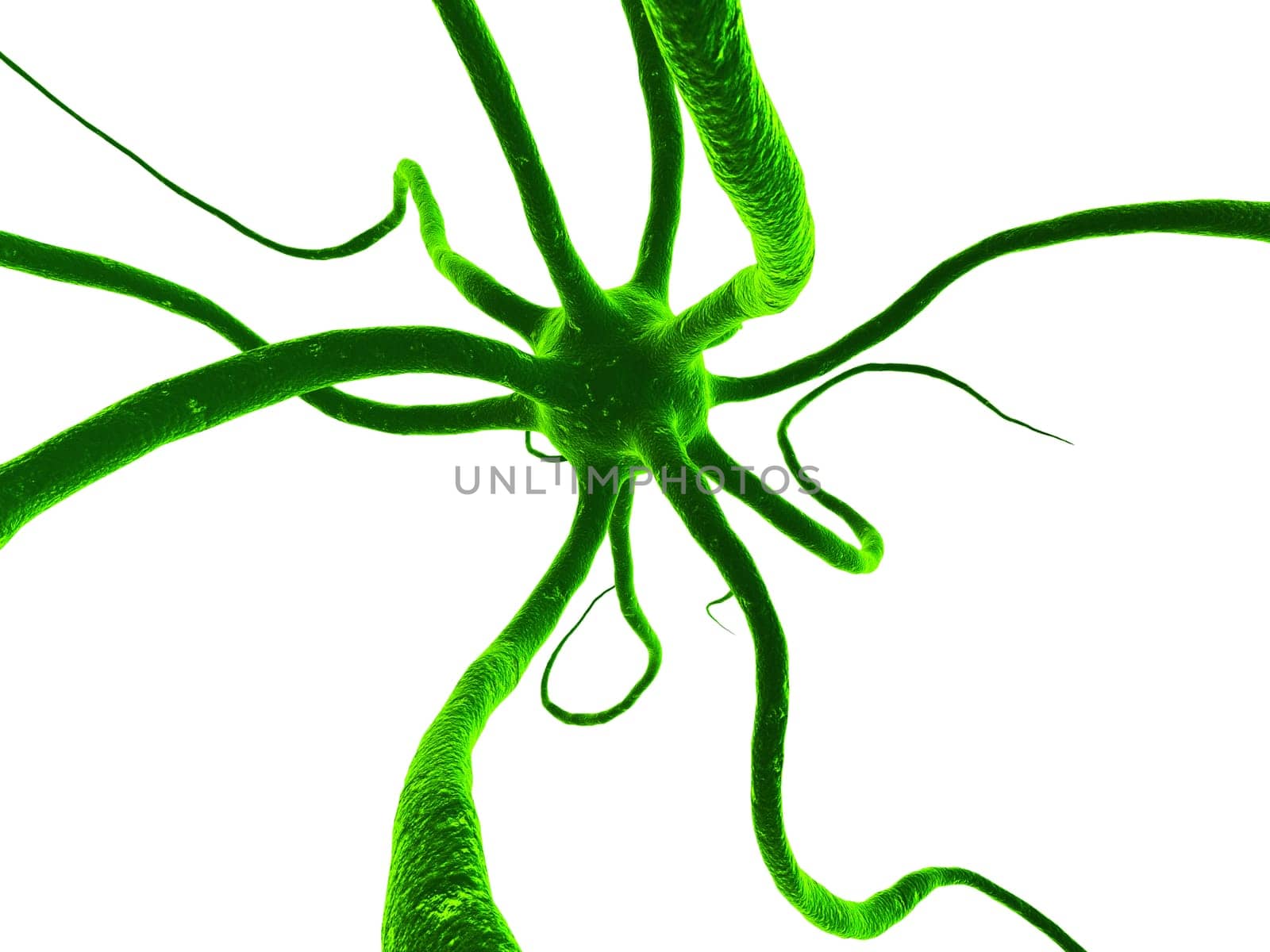 3d rendered illustration of a nerve cell